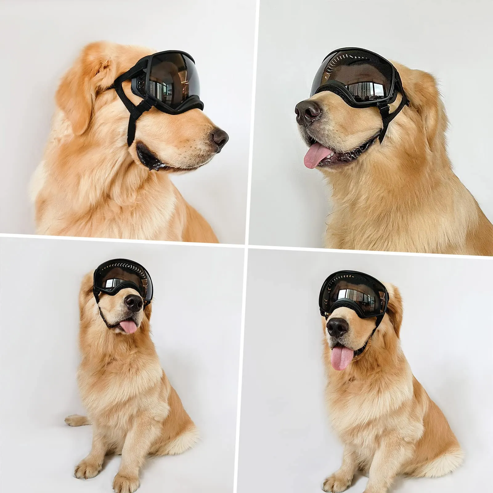 NAMSAN Occhiali da Moto per Cani Anti-UV, Fascia Regolabile Occhiali Antivento per Cani di Grossa Taglia-Nero - immagine 6