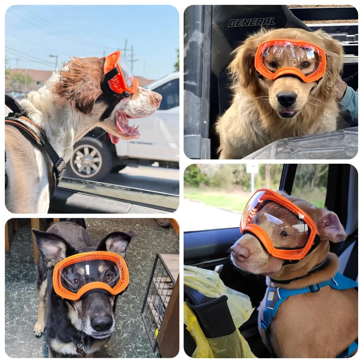 NAMSAN Occhiali da Sole per Cani Protezione UV Occhiali da Sole per Animali Domestici Fascia Regolabile e Cuscinetti di Schiuma Proteg Gono GliOcchi per Cani di Grossa Taglia - Arancio - immagine 2