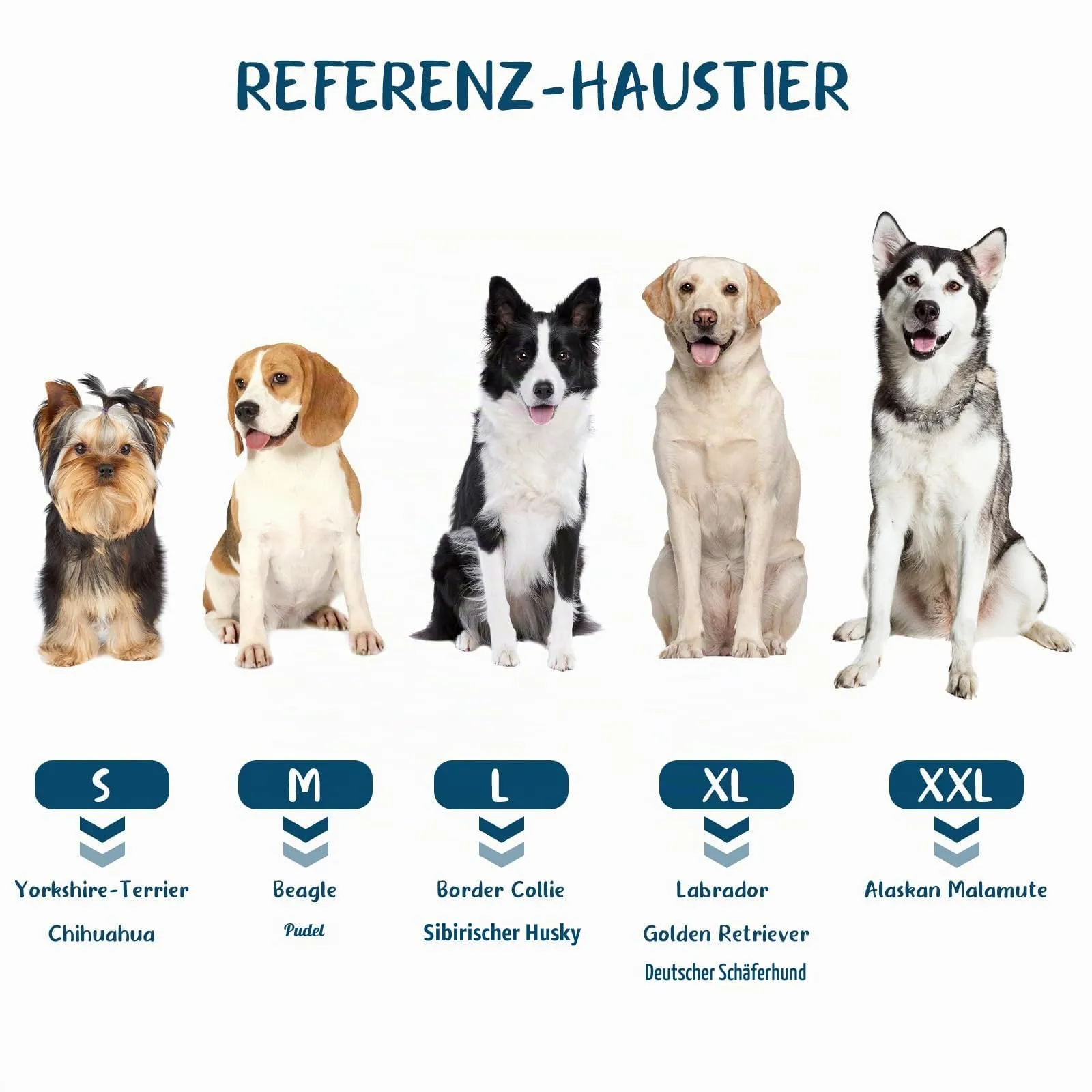 BASVII Accappatoio per cani in microfibra, accappatoio per cani di taglia media e piccola ad asciugatura rapida e banda retrattile regolabile taglia (S) - immagine 6