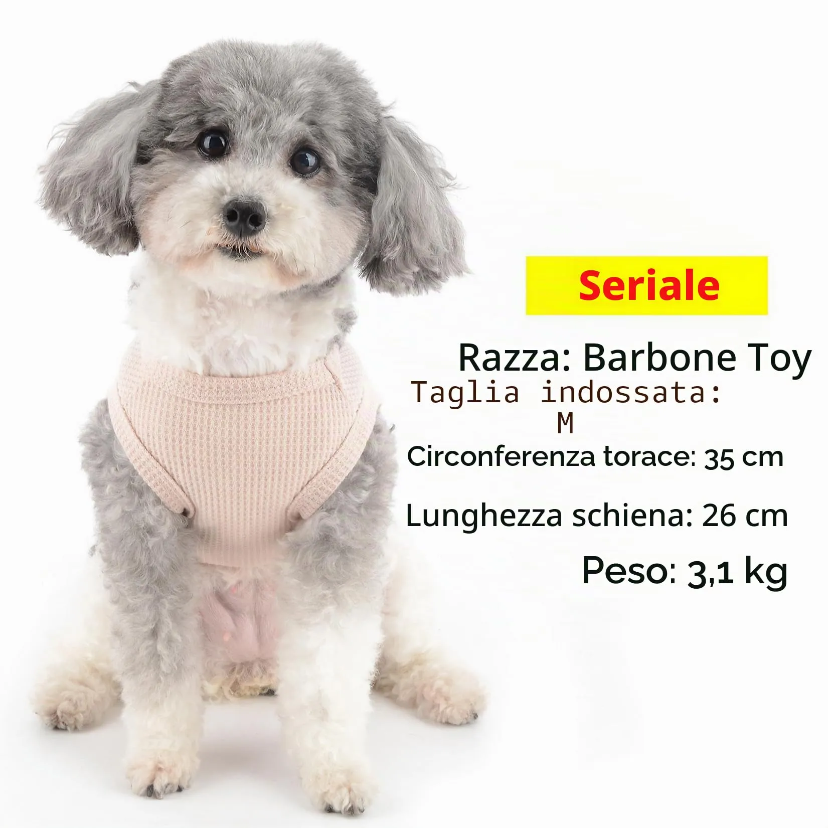 Zunea - Maglietta per cani di taglia piccola, in cotone morbido e traspirante, estiva, senza maniche, per cani, top basic per cani, grazioso, per cani femmina, maschio, basic, Chihuahua, Yorkie, gatto - immagine 3