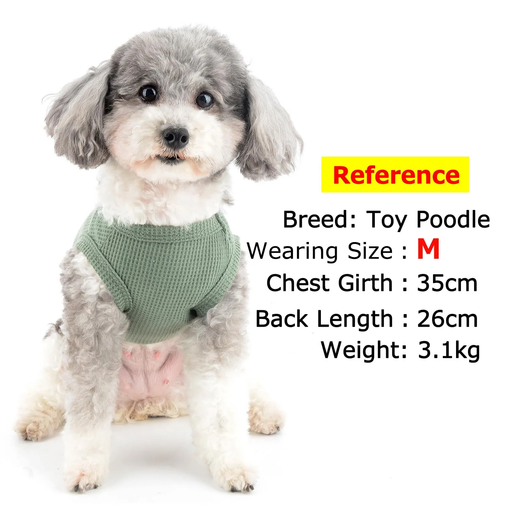 Zunea Camicie per Cani Piccoli Gilet Estivo T-Shirt per Cucciolo Ragazza e Ragazzo Abbigliamento Morbido e Traspirante T-Shirt Basica Elasticizzata Senza Maniche per Animali Domestici Chihuahua Gatto - immagine 3