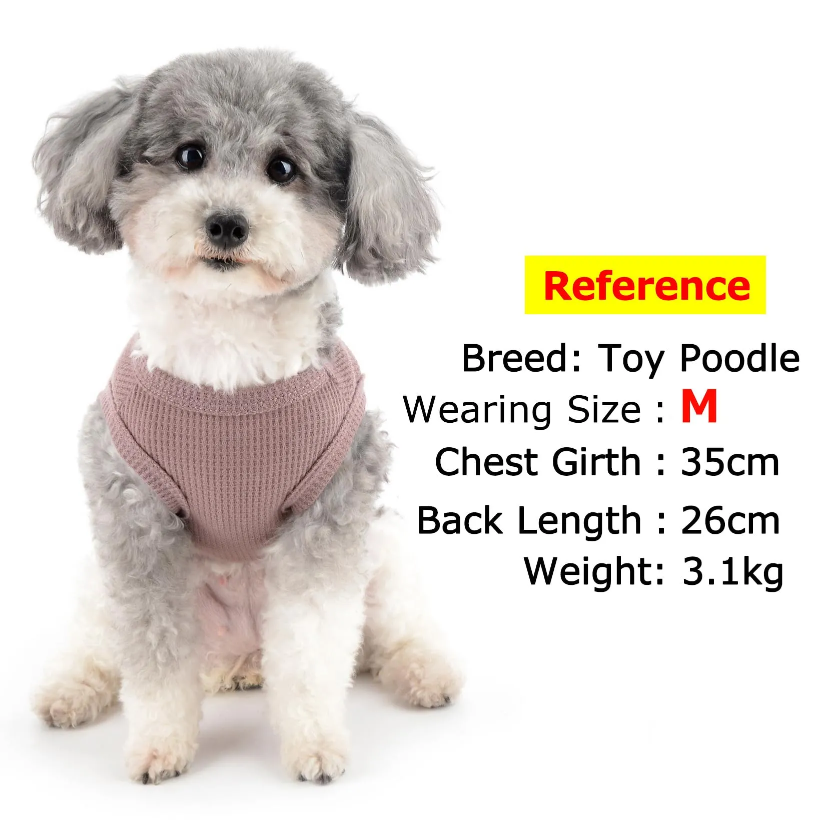 Zunea Camicie per cani di piccola taglia gilet estivo per animali domestici t-shirt cucciolo ragazza ragazzo vestiti morbidi traspiranti t-shirt base elasticizzata senza maniche canotta per cani - immagine 3
