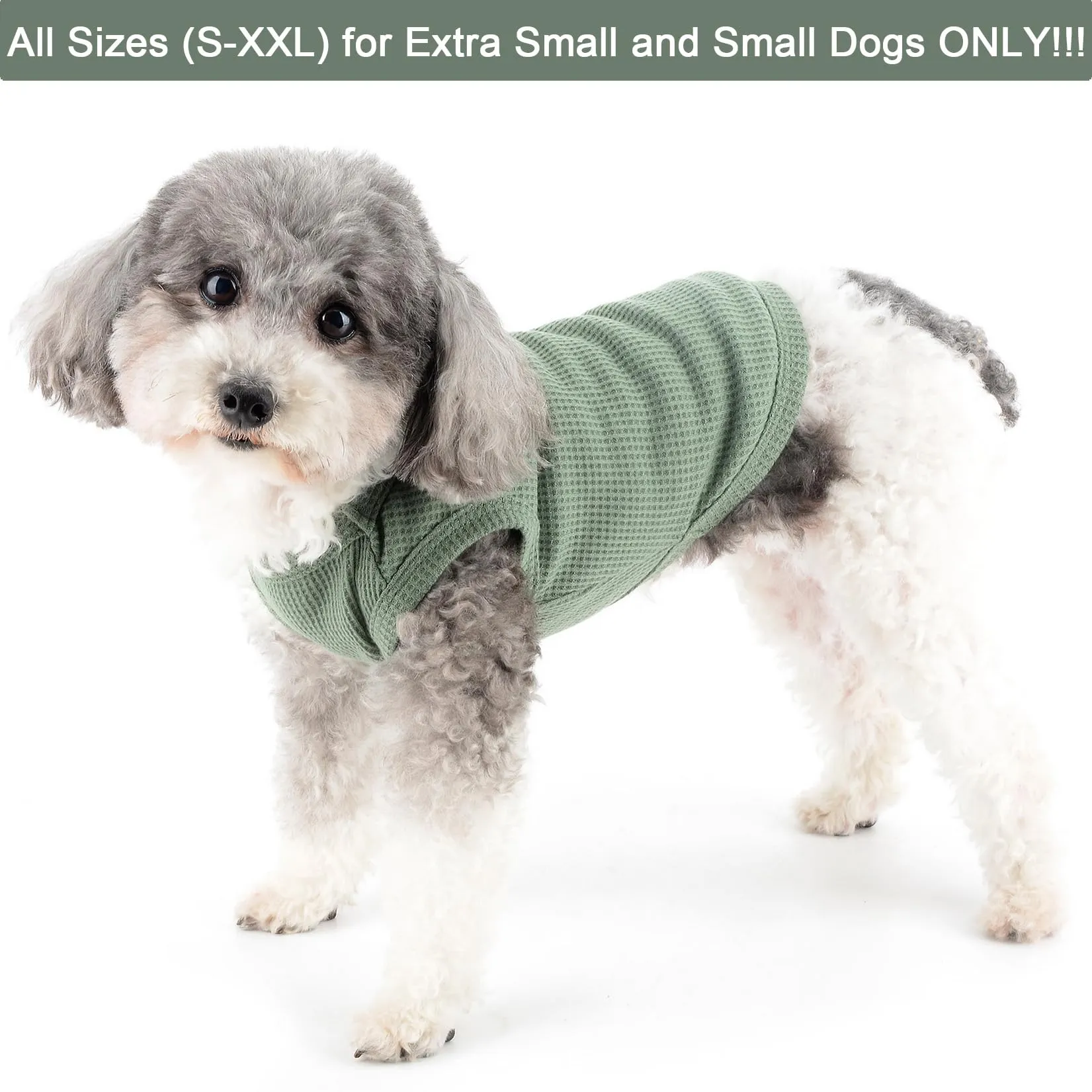 Zunea Camicie per cani di piccola taglia gilet estivo t-shirt morbida traspirante vestiti per cuccioli maglietta di base canotta senza maniche per animali domestici canottiera chihuahua yorkie gatto - immagine 2