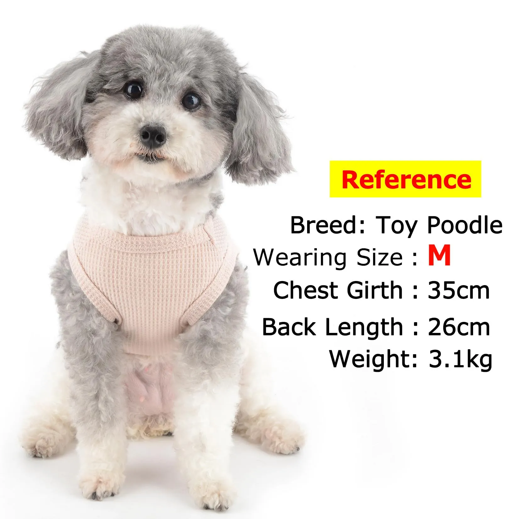 Zunea Camicie per cani di piccola taglia gilet estivo per animali domestici t-shirt cucciolo ragazza ragazzo vestiti morbidi traspiranti t-shirt base elasticizzata senza maniche canotta per cani - immagine 3