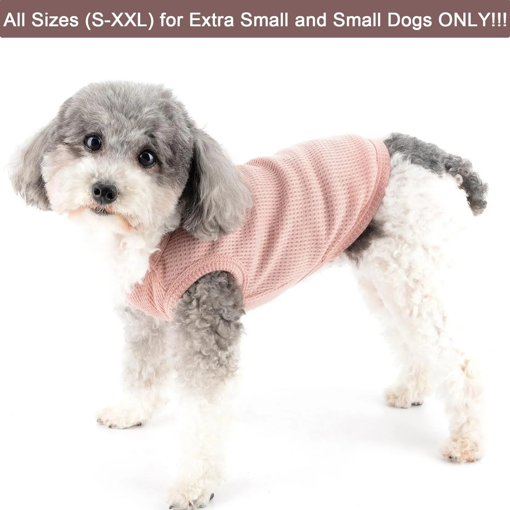 Zunea Camicie per cani di piccola taglia Gilet estivo Pet T-Shirt Cucciolo Ragazza Ragazzo Vestiti Morbido Traspirante Basic Tee Shirt Elastico Senza Maniche Canottiera Doggie Chihuahua Cat Felpa - immagine 2