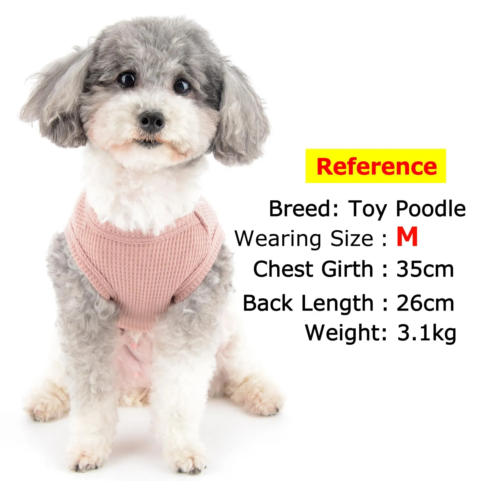 Zunea - Maglietta per cani di taglia piccola, estiva, in morbido tessuto traspirante, vestito basic per cani, top senza maniche per cani, indumenti per cuccioli, maglietta basic, sweatshirt per - immagine 3