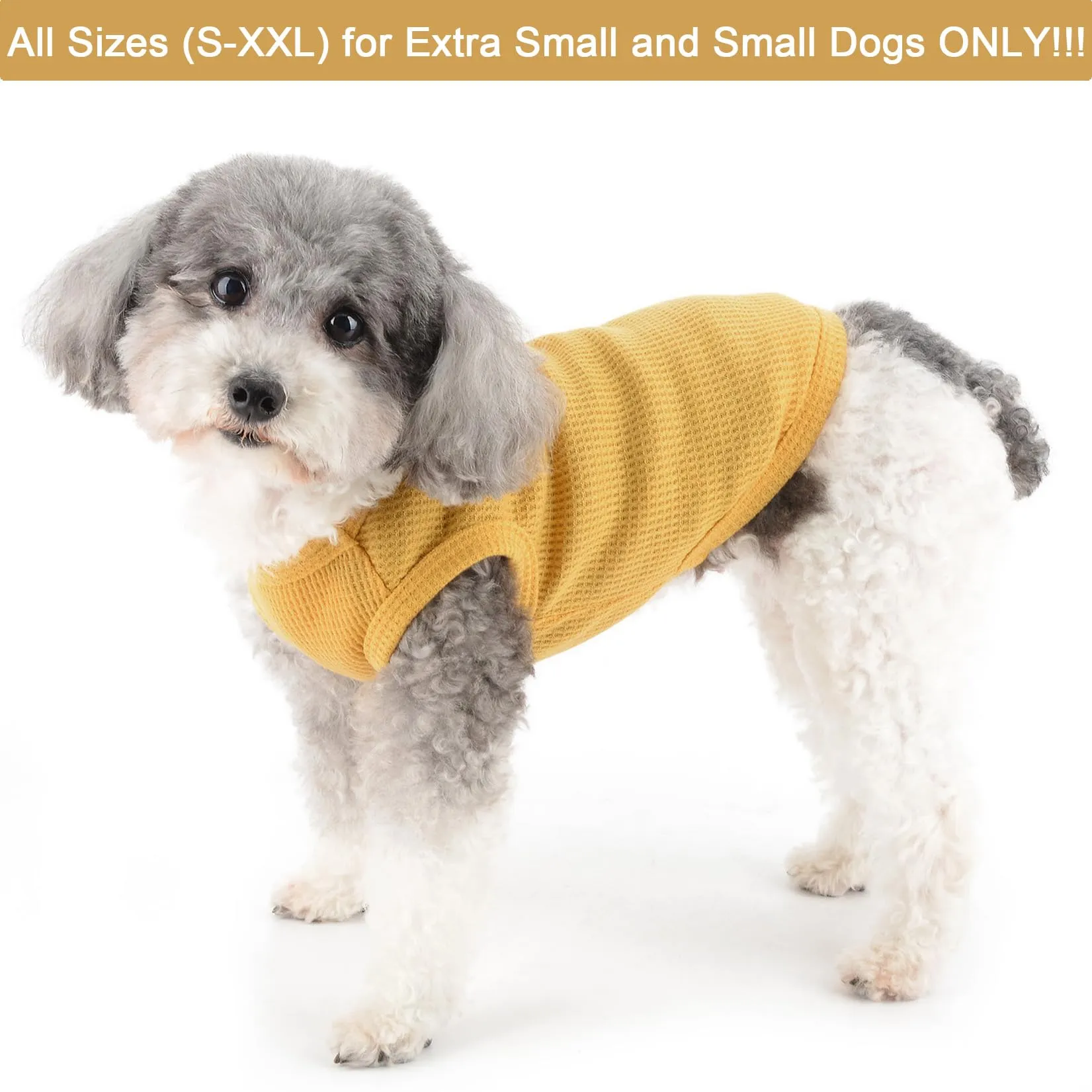 Zunea Camicie per cani di piccola taglia gilet estivo t-shirt morbida traspirante vestiti per cuccioli maglietta di base canotta senza maniche per animali domestici canottiera chihuahua yorkie gatto - immagine 2
