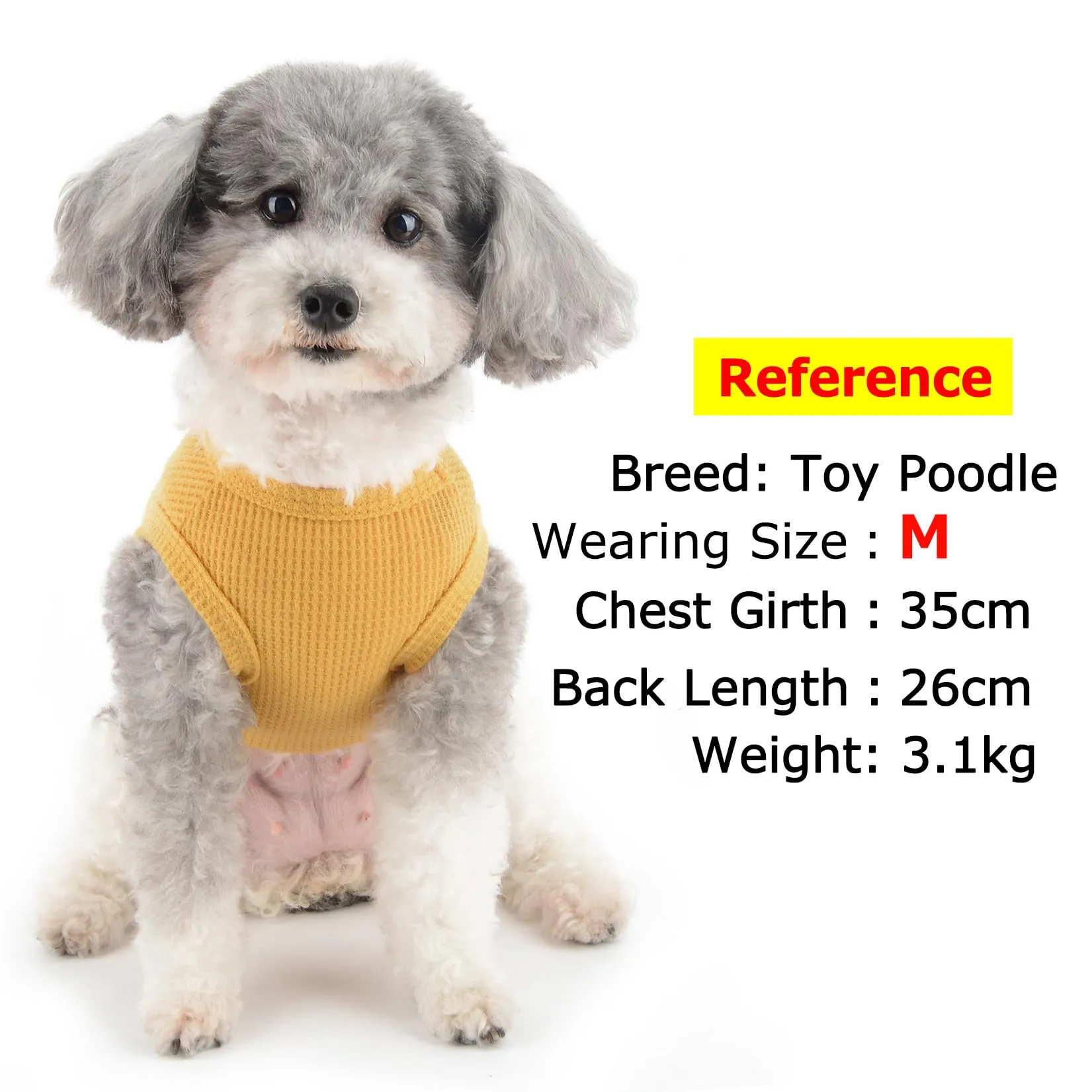Zunea Camicie per cani di piccola taglia gilet estivo t-shirt morbida traspirante vestiti per cuccioli maglietta di base canotta senza maniche per animali domestici canottiera chihuahua yorkie gatto - immagine 3