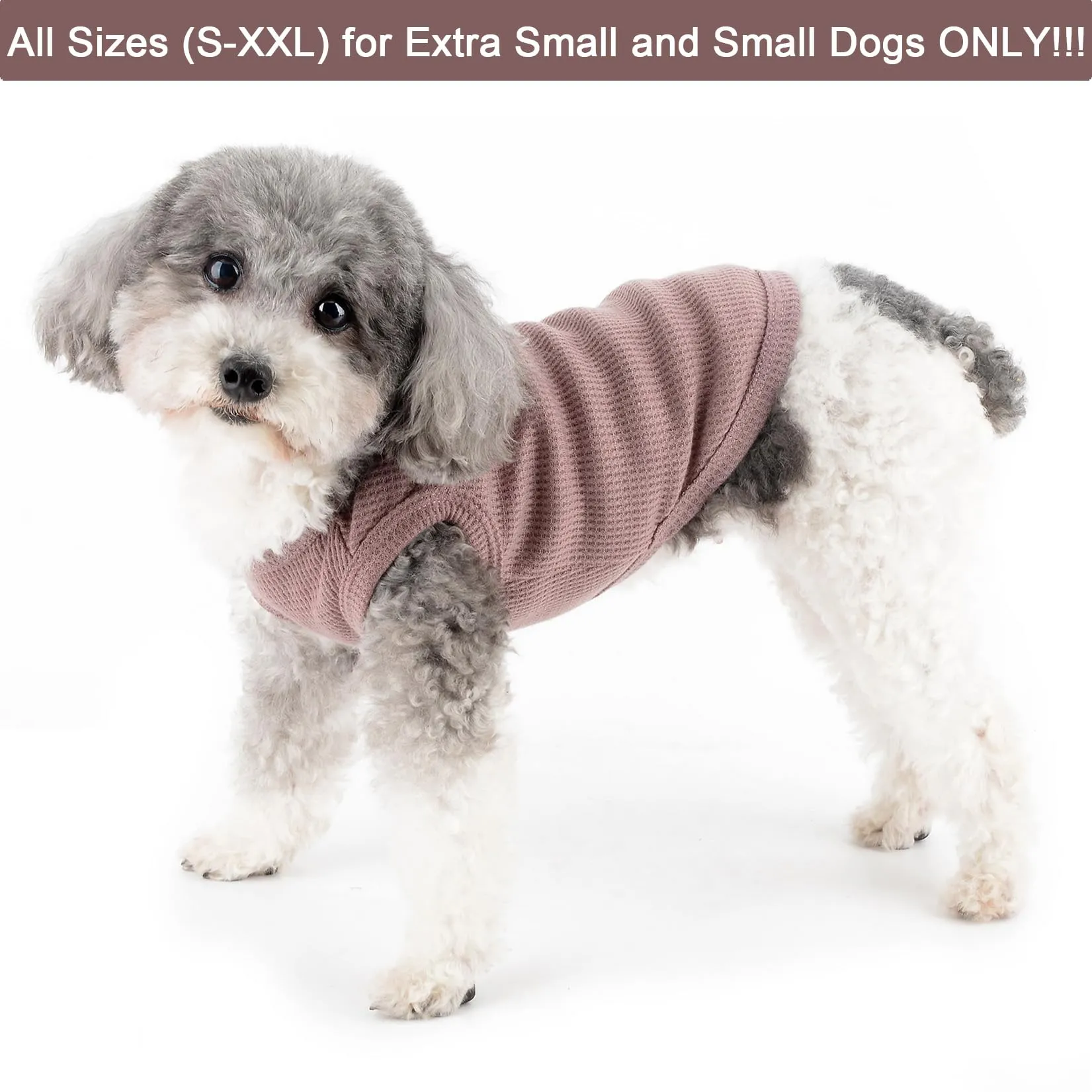 Zunea Magliette per cani per cani di piccola taglia, vestibilità estiva, maglietta per animali domestici, cuccioli, ragazza, ragazzo, abbigliamento, maglietta base, morbida, traspirante, T-shirt - immagine 2