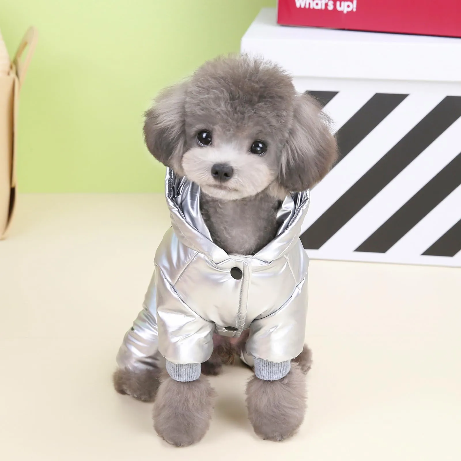 Izefia Cappotto del Cane Antivento Giacca Fredda 4 Gambe Tuta Calda Invernale Vestiti Spessi Della Neve Cotone Cappotto del Cane per Il Piccolo Gatto Medio - immagine 5