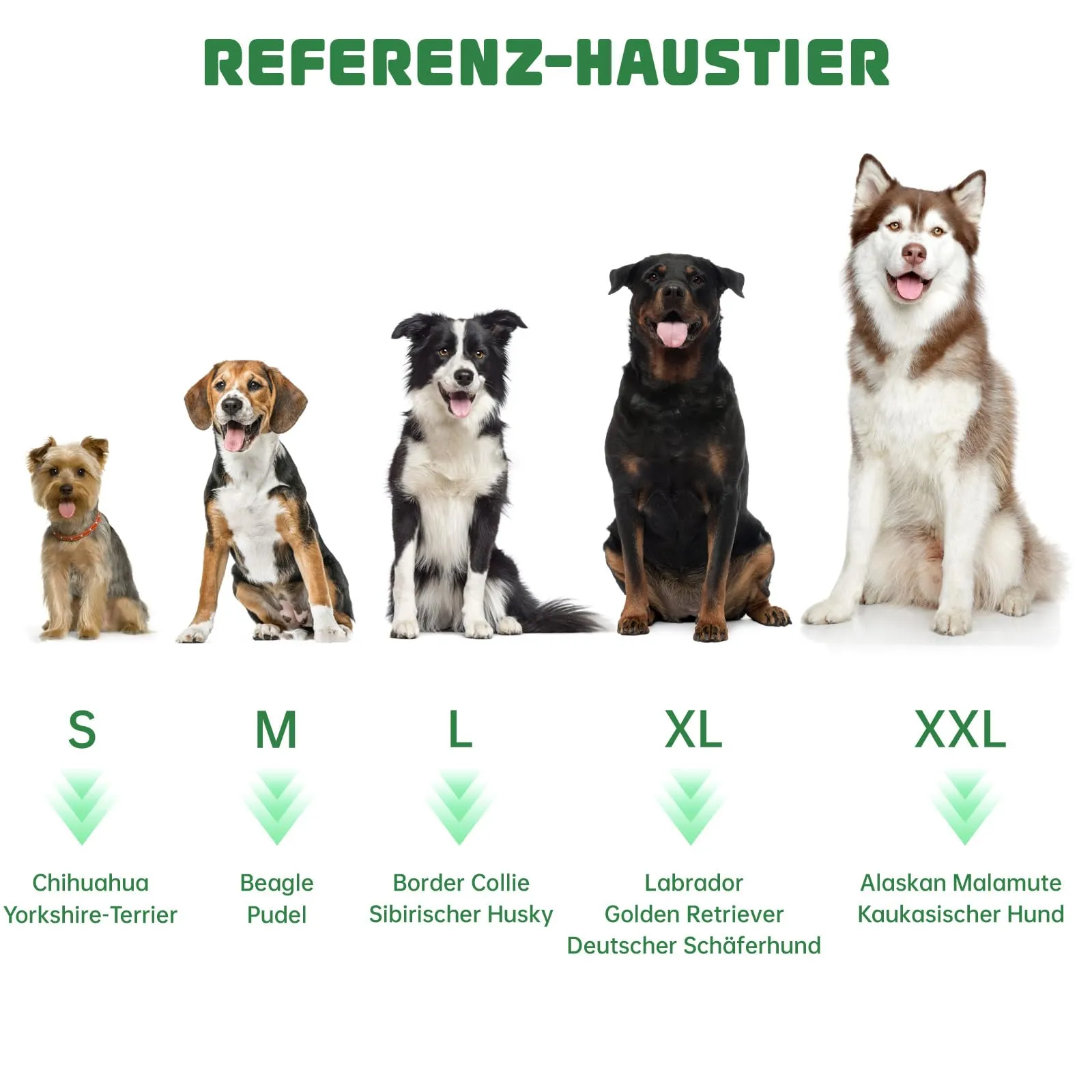 BASVII Accappatoio per cani in microfibra, accappatoio per cani extra assorbente e ad asciugatura rapida, con chiusura e nastro termoretraibile regolabile.(M) - immagine 6