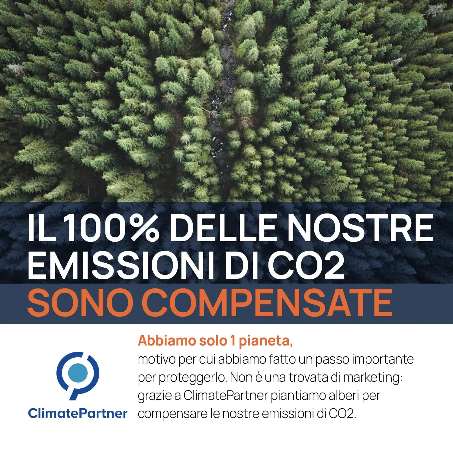 Argento colloidale, 40 PPM, 1 litro, acqua d'argento di alta qualità, più forte di 25 ppm, per uomo, cane e gatto, carbonio neutro, 100% naturale con 2 ingredienti - immagine 6