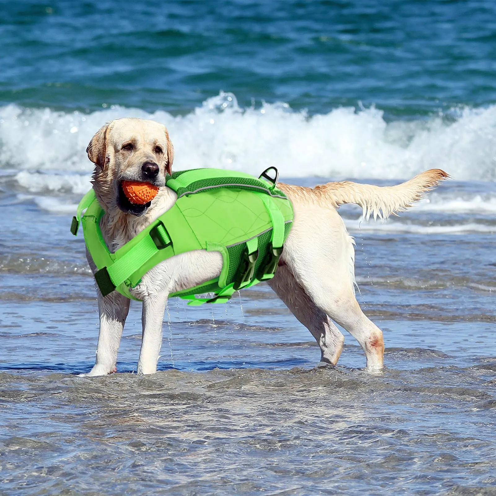 KONVINIT Giubbotto di Salvataggio per Cani, Giubbotto Salvagente Cane Taglia Regolabile, Verde, Tessuto Ripstop 600D, Galleggiante, Riflettente, Leggero - immagine 9