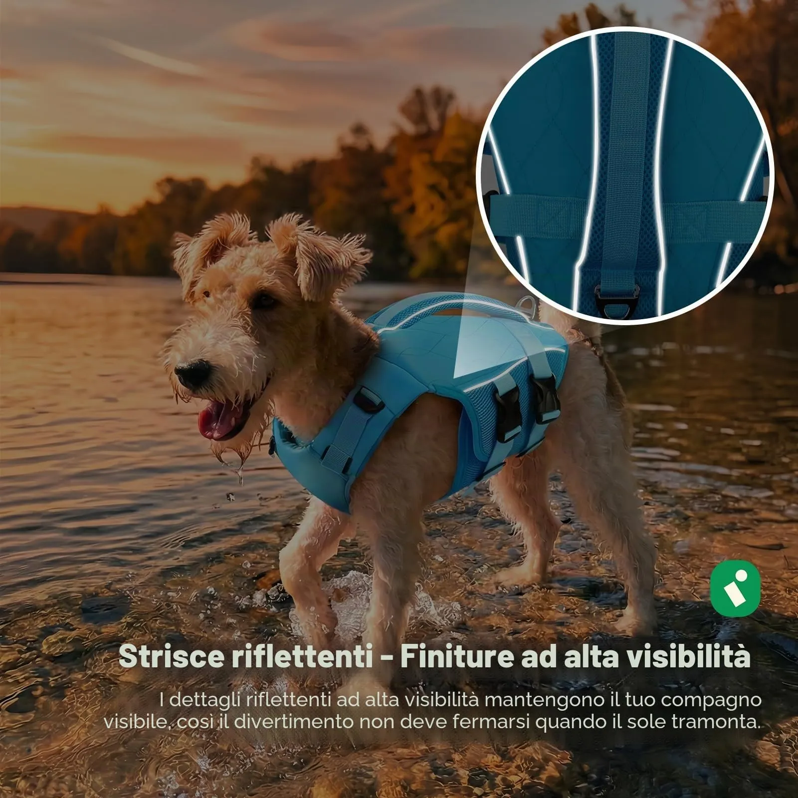 KONVINIT Giubbotto Salvagente Cane, Giubbotto di Salvataggio per Cani, Taglia Regolabile, Blu, Tessuto, Nylon, Riflettente, Leggero - immagine 6