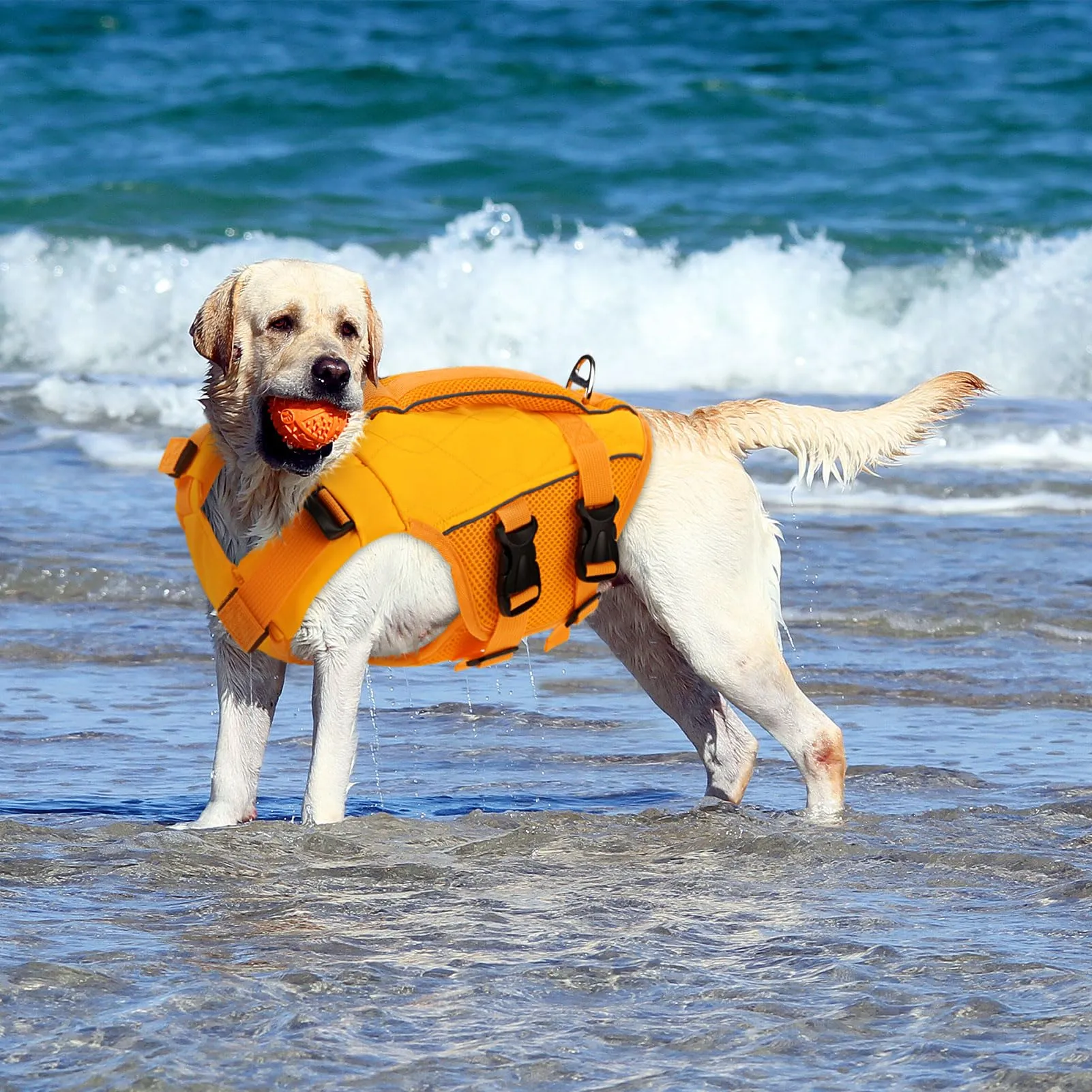 KONVINIT Giubbotto Salvagente per Cani con Taglia Regolabile, Dog Life Jacket con Maniglia e Strisce Riflettenti - immagine 9
