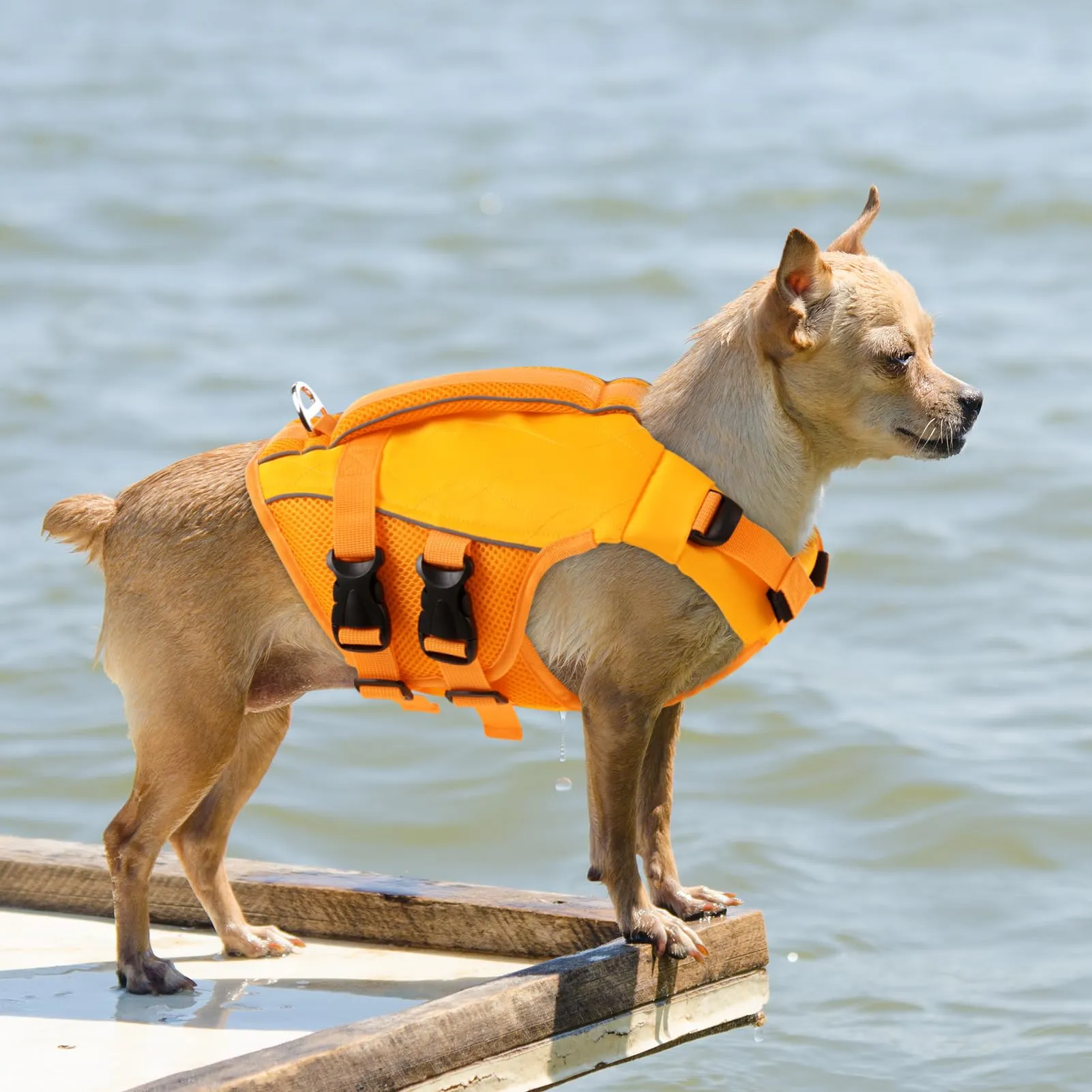 KONVINIT Giubbotto Salvagente per Cani Taglia Regolabile con Maniglia e Strisce Riflettenti - Dog Life Jacket - immagine 9