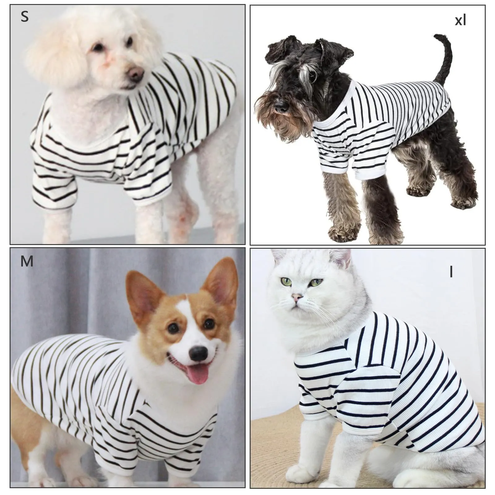 Shengxi Maglioncino Cane T-shirt in Cotone a Righe Per Cani Estivo Traspirante Maglietta con Maniche Magliette Morbido Elasticizzata per Chihuahua Bulldog Piccola Gatti (S) - immagine 7