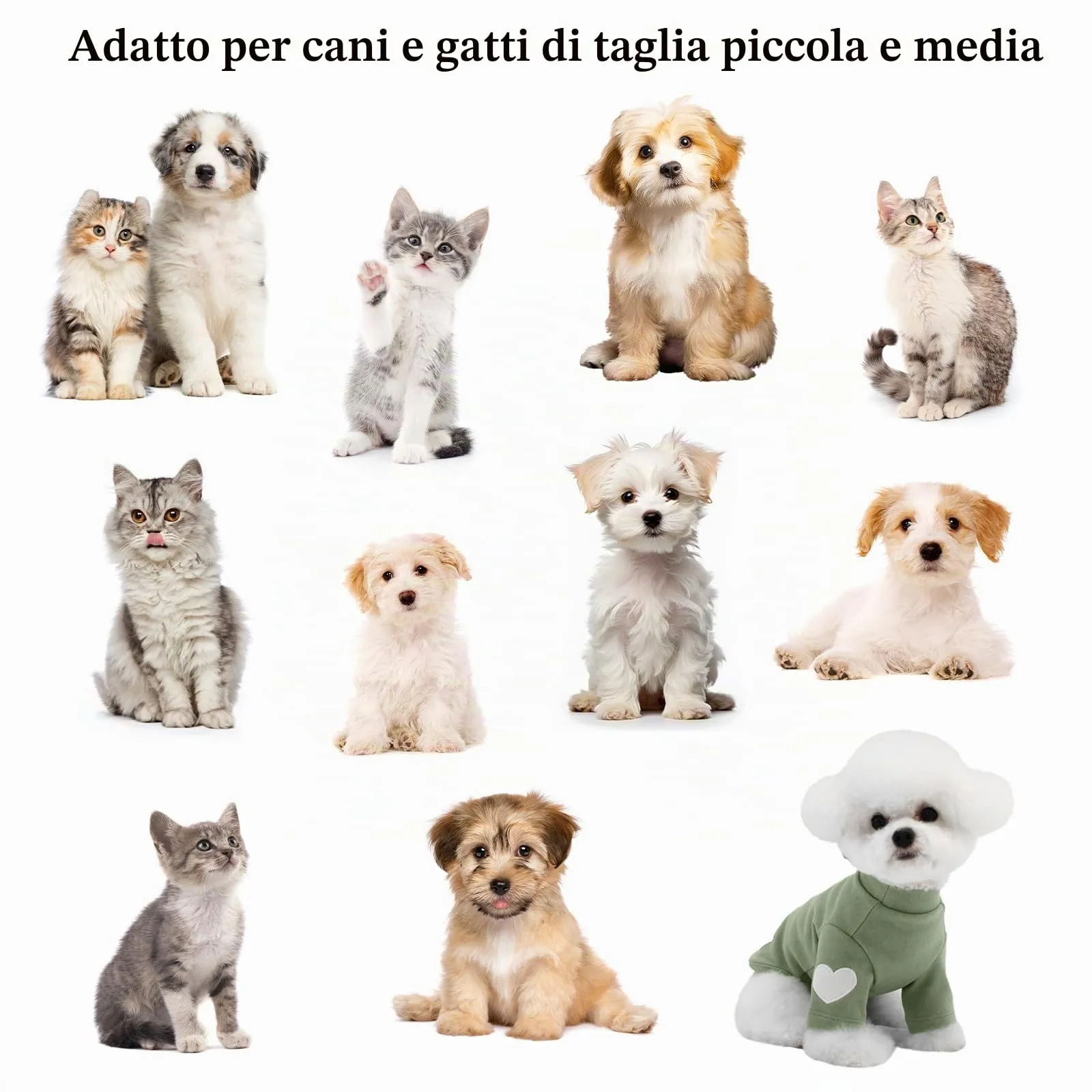 Yaopelky Felpa per cani di taglia piccola e media, calda maglietta per animali domestici, con stampa a cuore, per gatti, cuccioli, felpe per orsacchiotto, chihuahua schnauzer (verde, S) - immagine 7