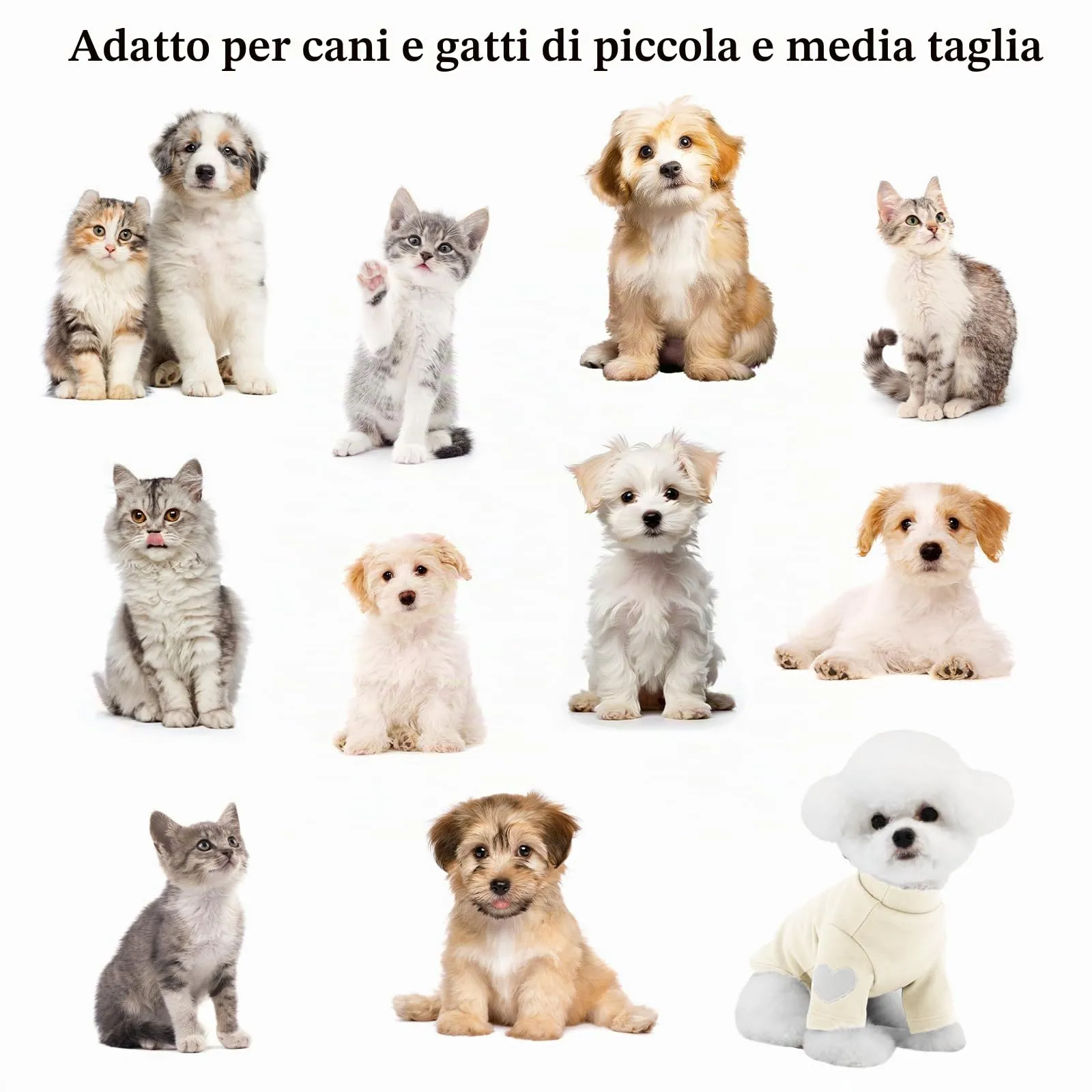 Yaopelky Felpa per cani di taglia piccola e media, calda maglietta per animali domestici, con stampa a cuore, per gatti, cuccioli, felpe per orsacchiotto, chihuahua schnauzer (beige, M) - immagine 7