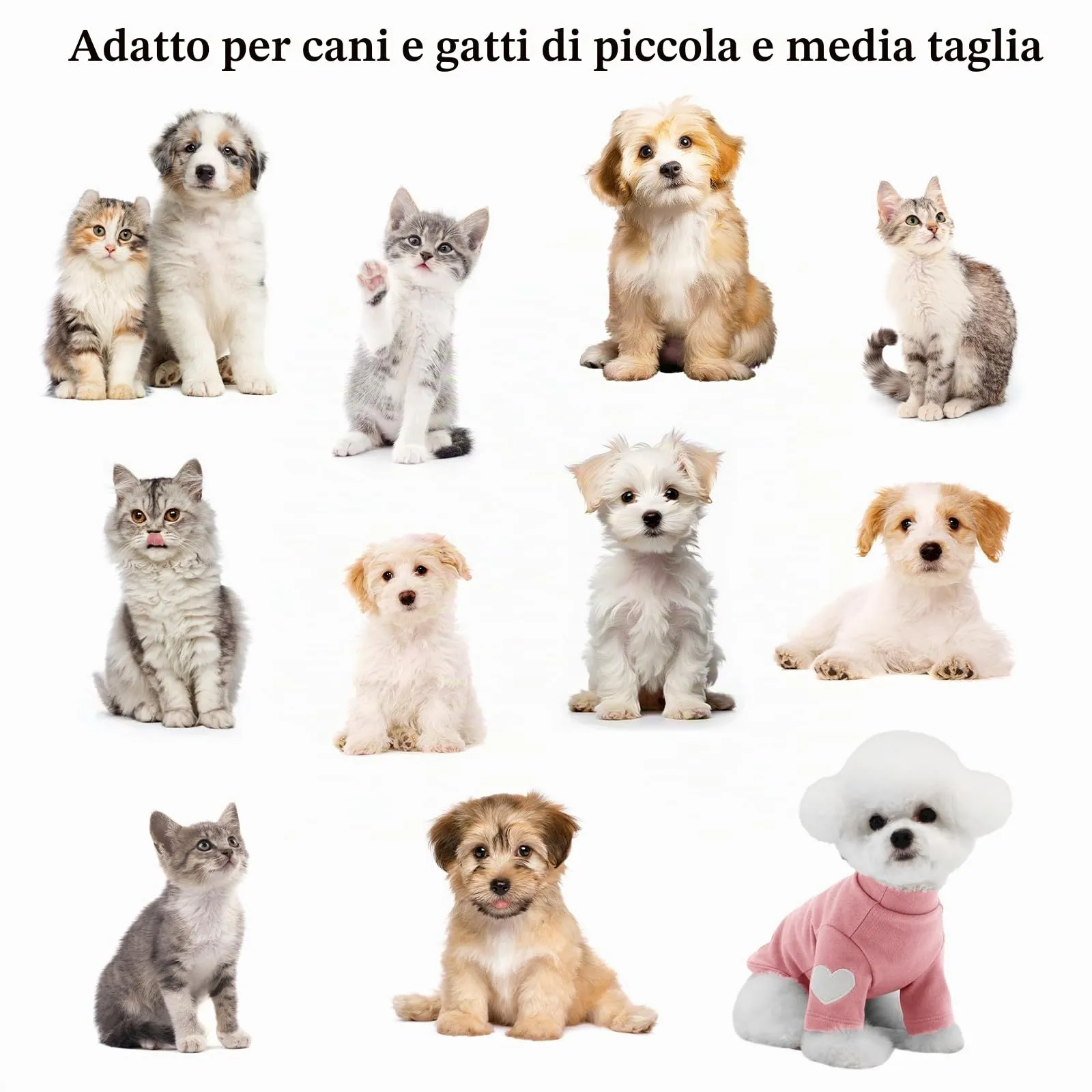 Yaopelky Felpa per cani di taglia piccola e media, calda maglietta per animali domestici, con stampa a cuore, per gatti, cuccioli, felpe per orsacchiotto, chihuahua schnauzer (rosa, M) - immagine 6
