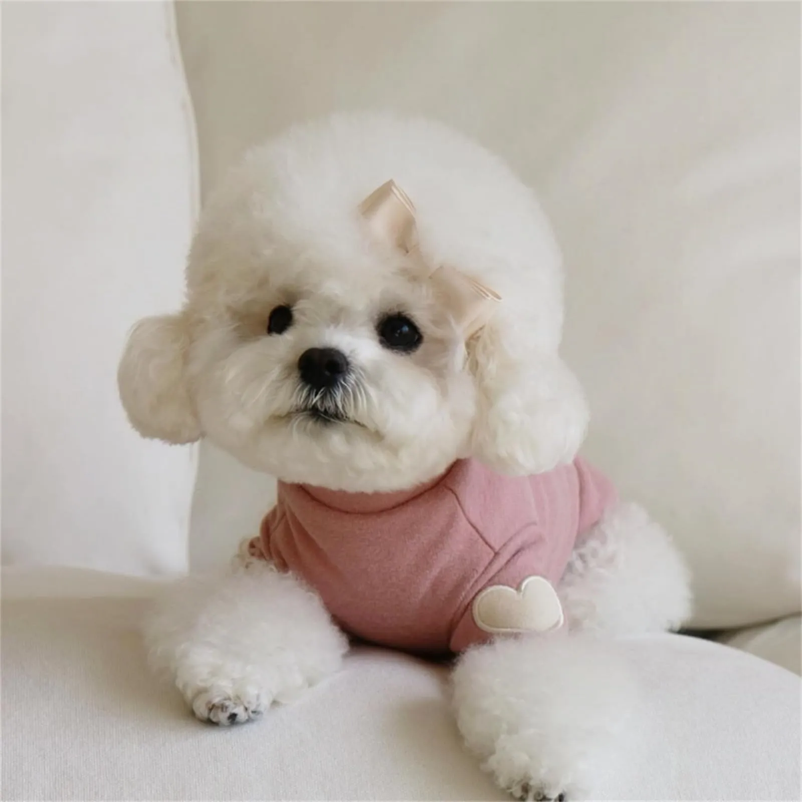 Yaopelky Felpa per cani di taglia piccola e media, calda maglietta per animali domestici, con stampa a cuore, per gatti, cuccioli, felpe per orsacchiotto, chihuahua schnauzer (rosa, M) - immagine 7