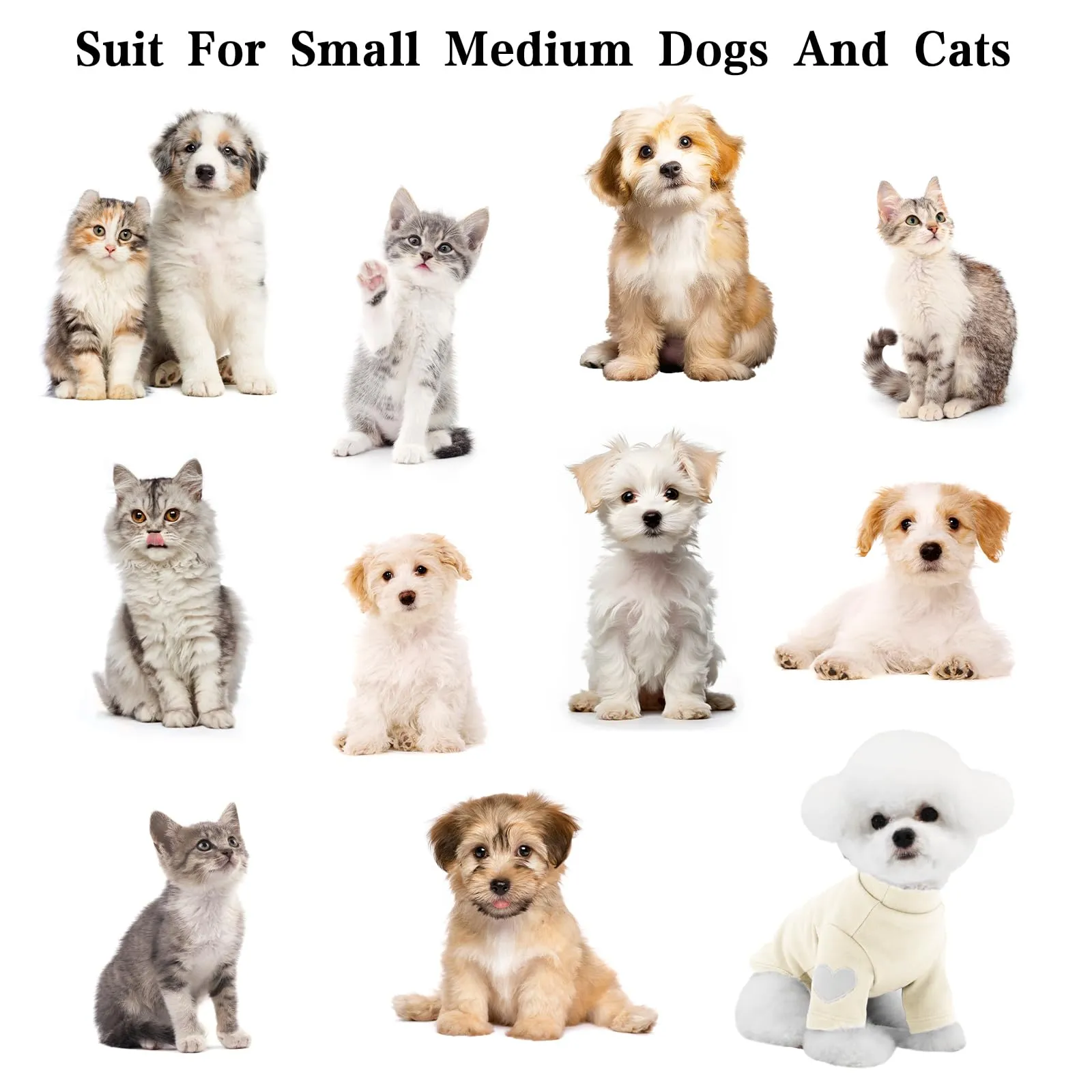 Yaopelky Felpa per cani di taglia piccola e media, calda maglietta per animali domestici, con stampa a cuore, per gatti, cuccioli, felpe per orsacchiotto, chihuahua schnauzer (beige, L) - immagine 7