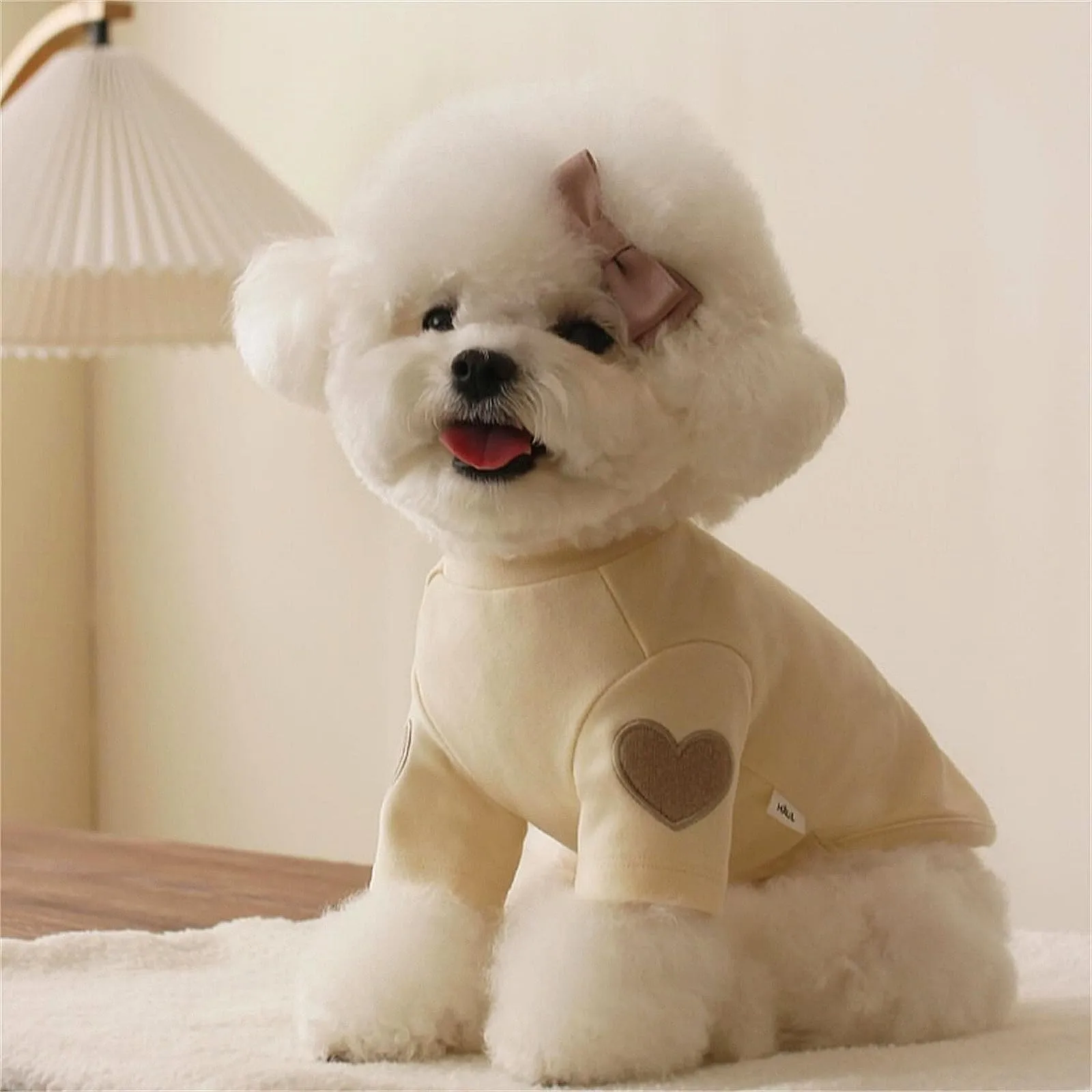 Yaopelky Felpa per cani di taglia piccola e media, calda maglietta per animali domestici, con stampa a cuore, per cuccioli di gatto, gattino, chihuahua schnauzer (beige, S) - immagine 6