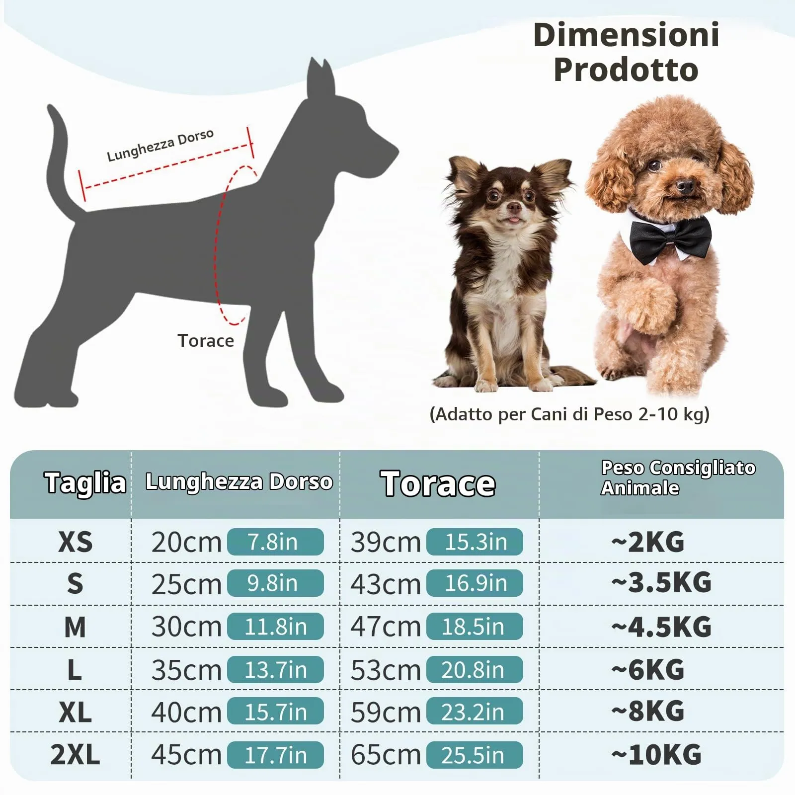 PETCUTE Impermeabile per Cani con Cappuccio, Cappotto Impermeabile per Cani con Strisce Riflettenti, Bottone a Pressione,Leggera Cappotto Cane Antipioggia per Cani di Piccola e Media Taglia - immagine 3