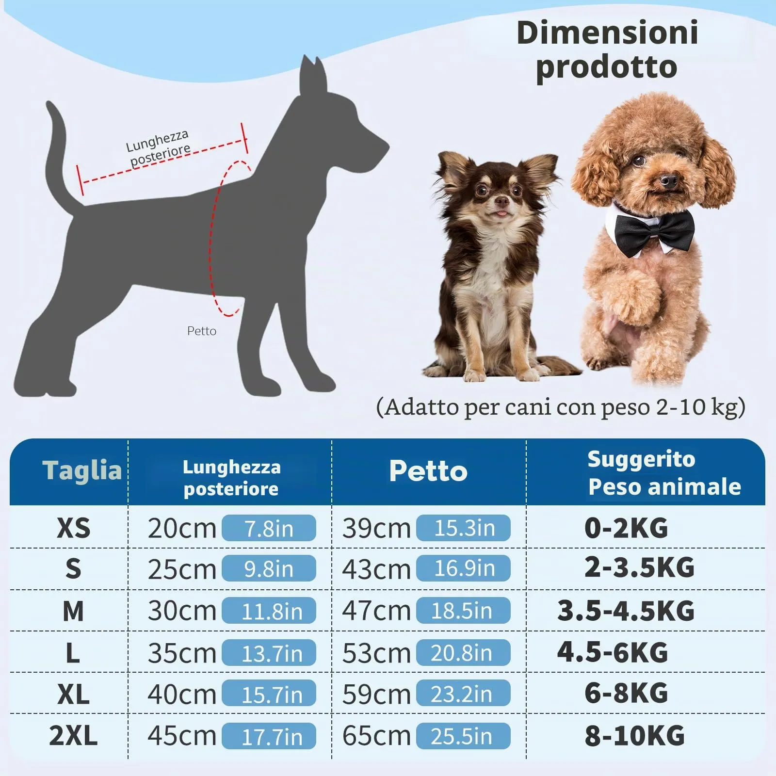 PETCUTE Impermeabile per Cani con Cappuccio, Cappotto Impermeabile per Cani con Strisce Riflettenti, Bottone a Pressione,Leggera Cappotto Cane Antipioggia per Cani di Piccola e Media Taglia - immagine 3