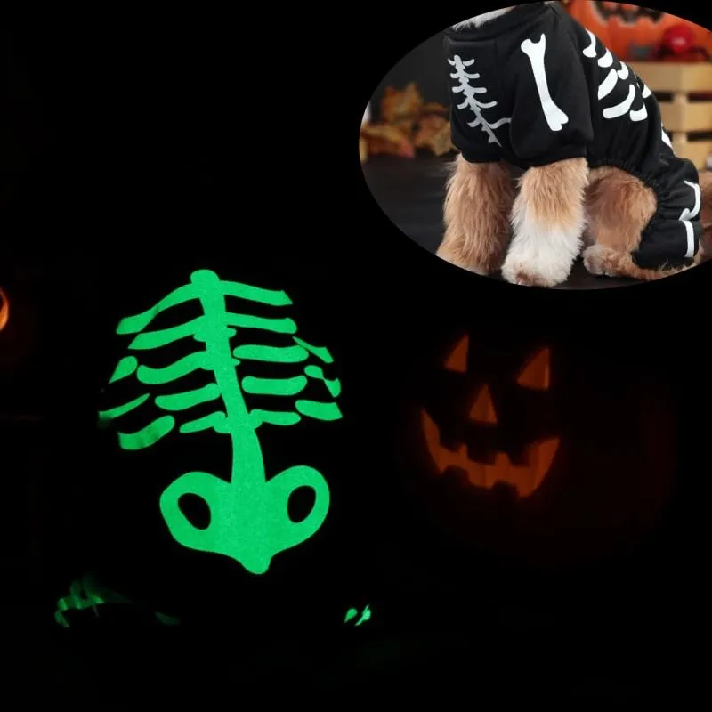 Maigllra Costume da scheletro per cani che si illumina al buio per Halloween, tuta a 4 zampe, per cani di taglia piccola, media e grande, S - immagine 3