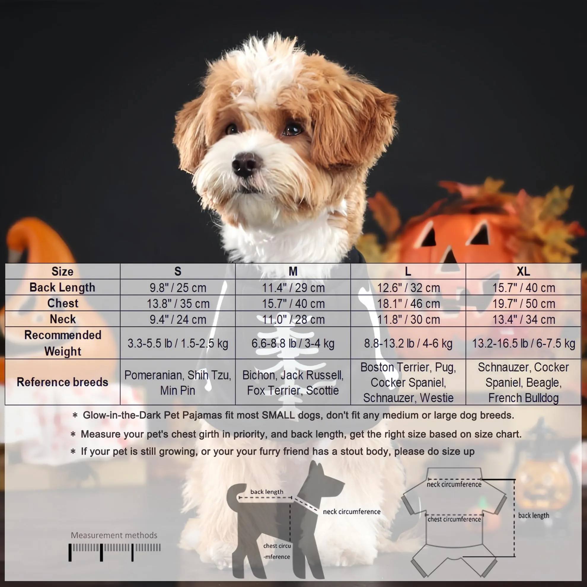 Maigllra Costume da scheletro per cani che si illumina al buio per Halloween, tuta a 4 zampe, per cani di taglia piccola, media e grande, S - immagine 5