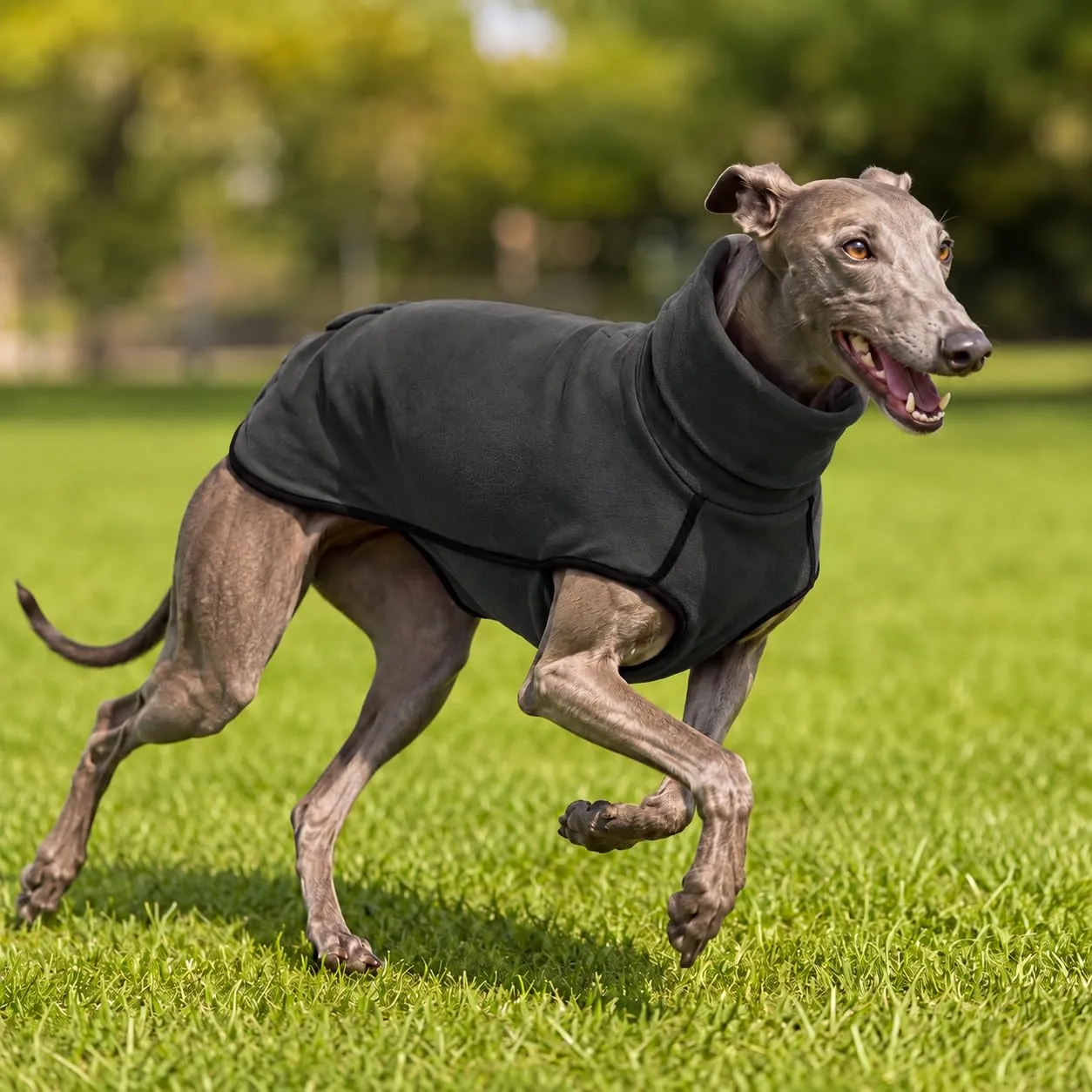 MOKATES Abbigliamento per Cani Levriero per Cani di Taglia Grande, Camicia a Collo Alto, Whip Dog, Gilet in Pile Elasticizzato, Maglione per Animali Domestici per Cani Piccoli, Medi e Grandi, Taglia L - immagine 4