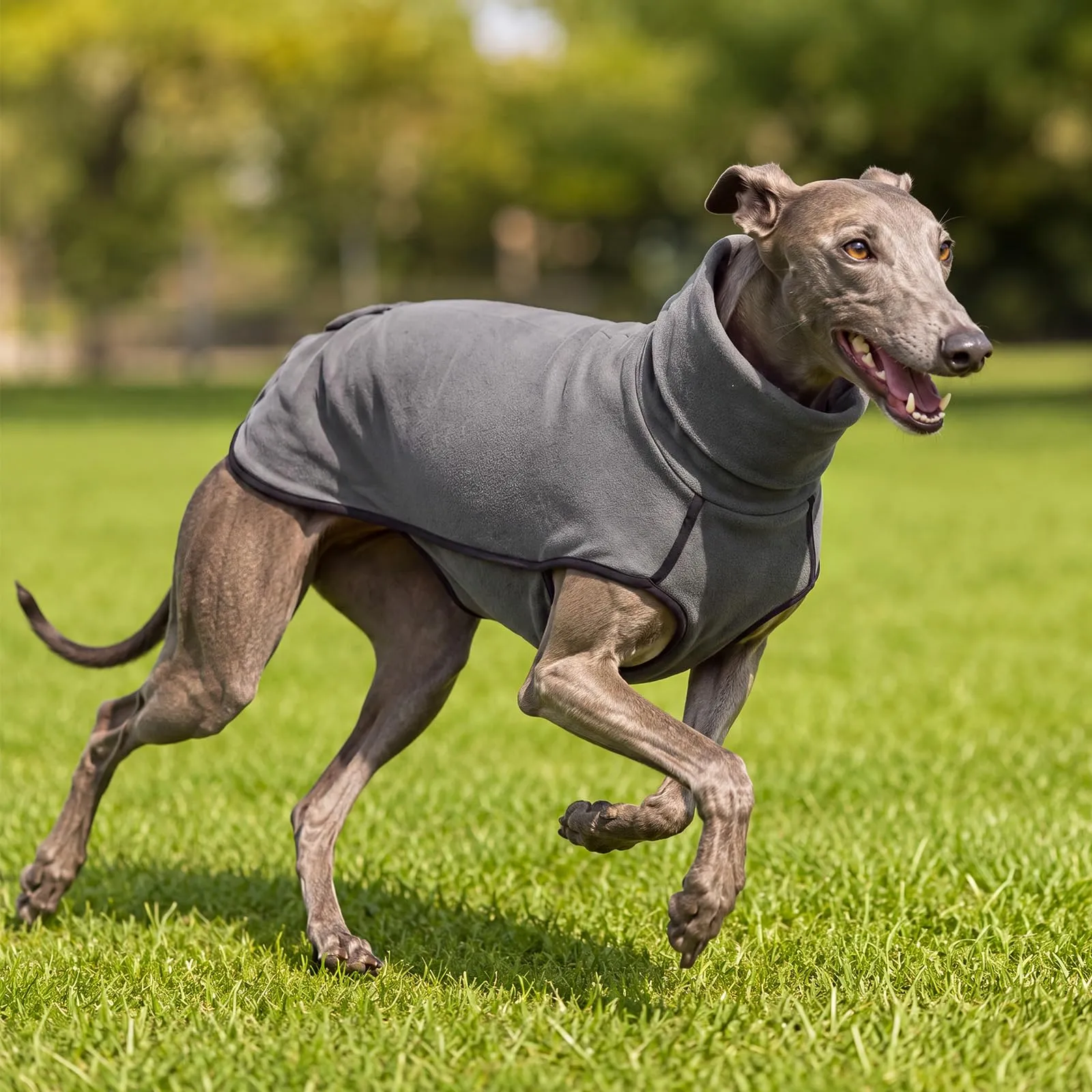 MOKATES Abbigliamento per cani Greyhound Maglietta con collo a scialle per cani Whip Hound Gilet in pile elasticizzato per cani di taglia piccola, media e grande - 2XL - immagine 4