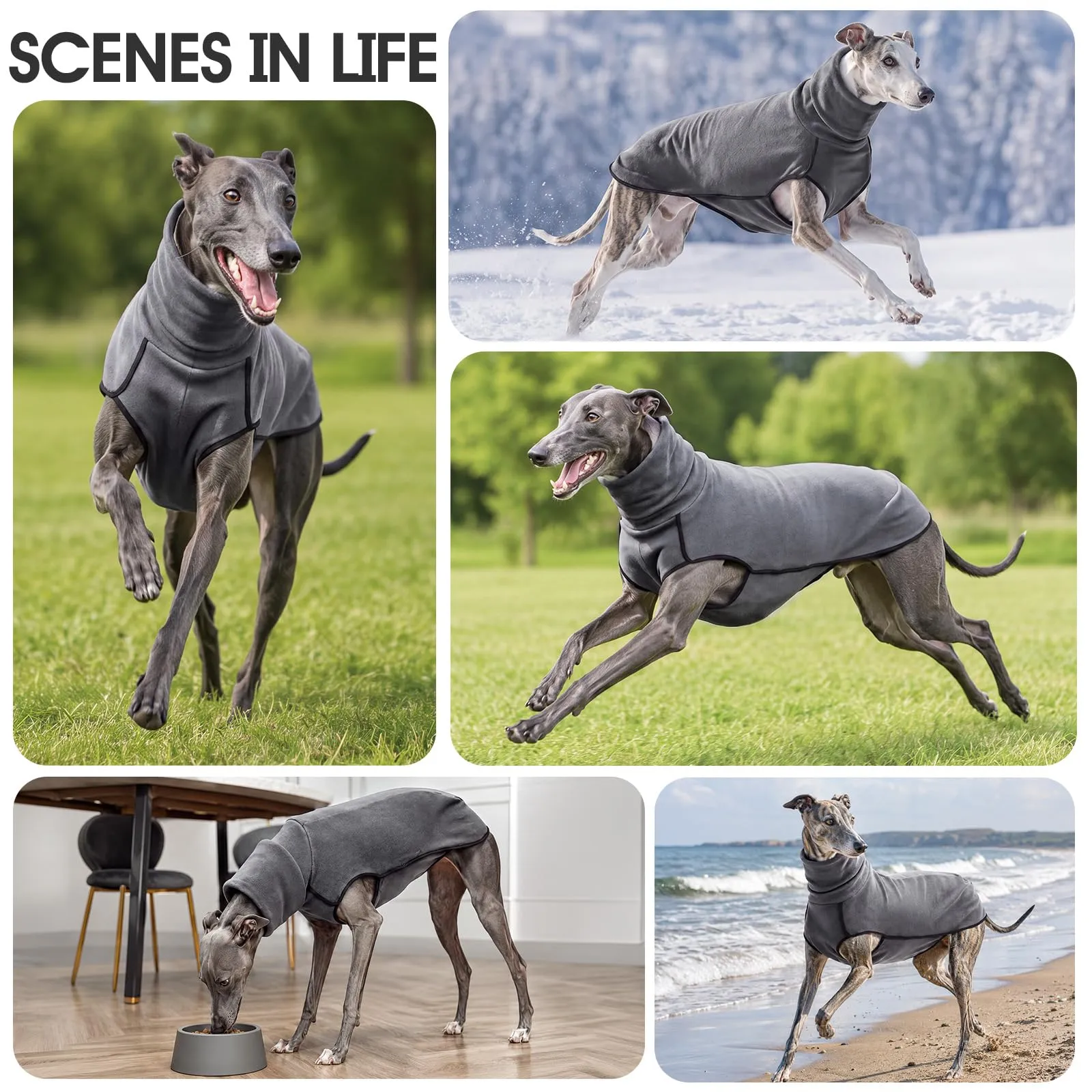 MOKATES Abbigliamento per cani Greyhound Maglietta con scollo a tartaruga per cani Whip Hound Gilet elasticizzato in pile per cani di taglia piccola, media e grande - M - immagine 6