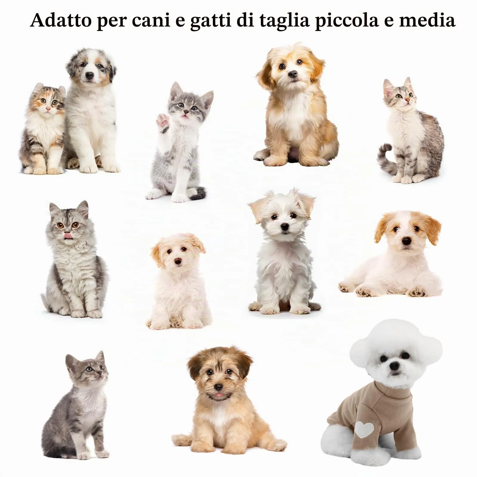 Yaopelky Felpa per cani di taglia piccola e media, calda maglietta per animali domestici, con stampa a cuore, per gatti, cuccioli, orsacchiotto, chihuahua schnauzer (caffè, XS) - immagine 8