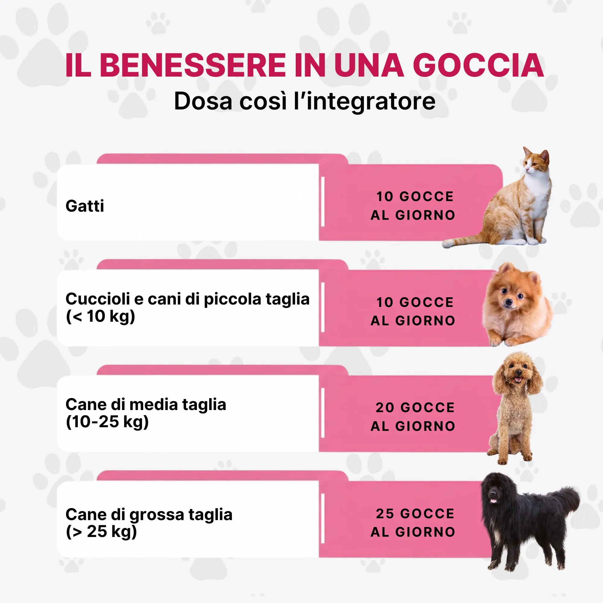 DermaPet Integratore Dermatite per Cute Cani e Gatti | Lenitivo Anti Rossore Naturale con Olio di Ribes | Prurito Cane e Gatto | 25ml | Integratori Olio contro Dermatiti Made in Italy | Longevity Pet - immagine 6