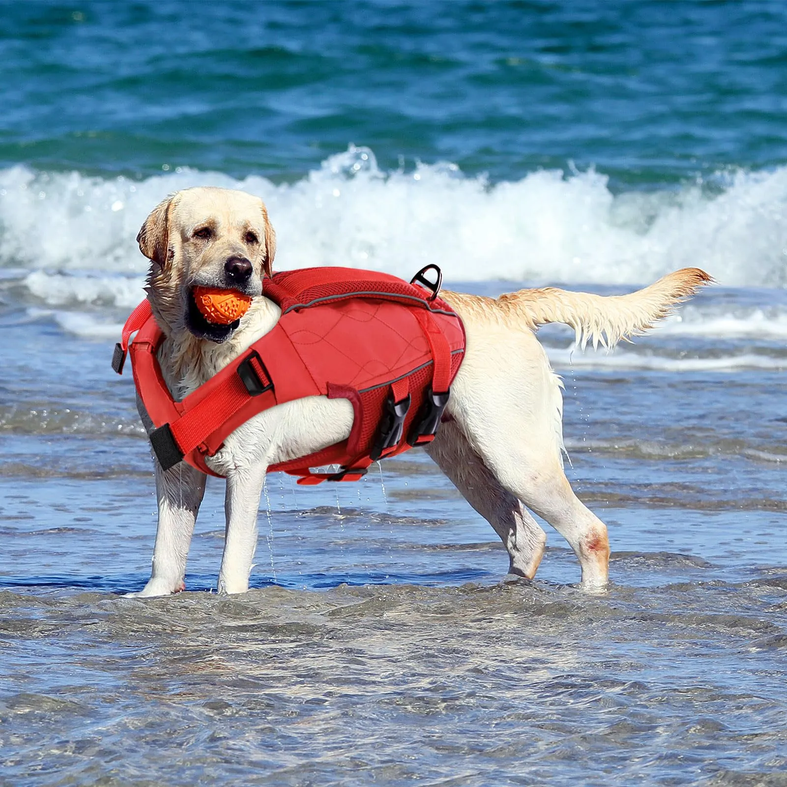 KONVINIT Giubbotto Salvagente per Cani - Giubbotto di Salvataggio Regolabile con Maniglia e Strisce Riflettenti, per Mare, Piscina, Lago, Canoa | KONVINIT Dog Life Jacket - immagine 8