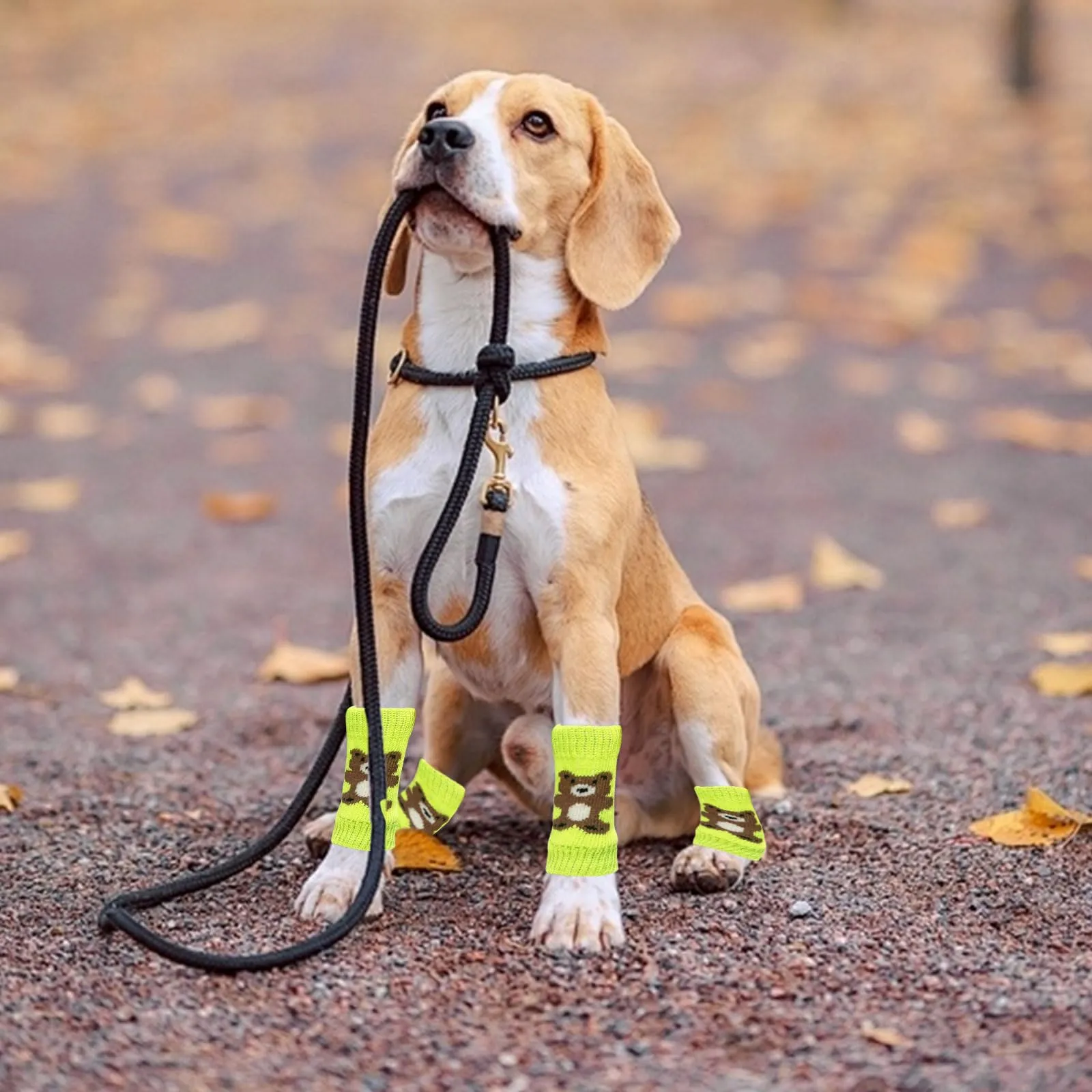 Scaldamuscoli per cani, 4 pezzi, protezione per gomito per cani, morbidi e caldi, in maglia, per gattini, cuccioli, cani di piccola taglia e gatti (verde, M) - immagine 7