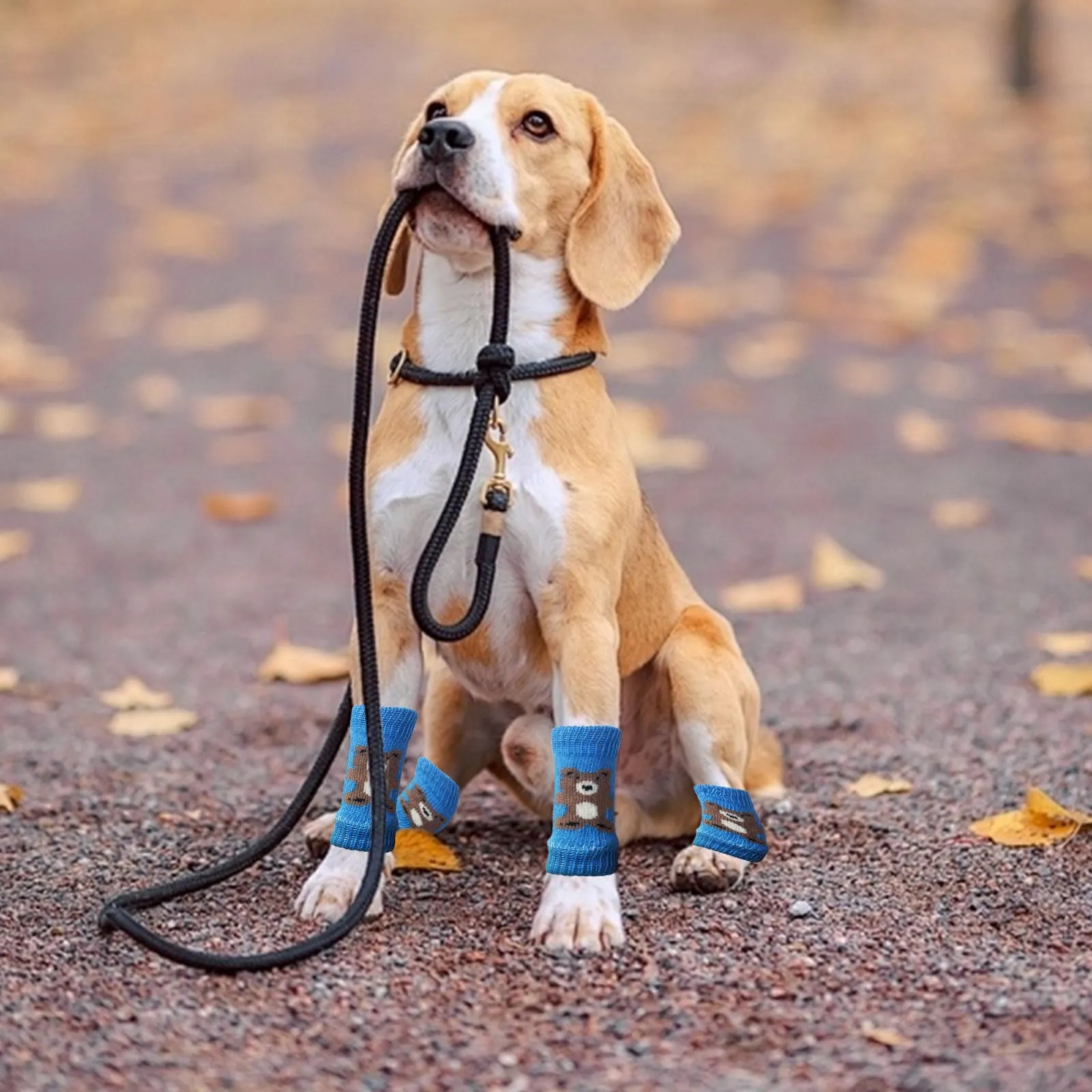 Scaldamuscoli per cani, 4 pezzi, protezione per gomito per cani, morbidi e caldi, in maglia, per gattini, cuccioli, cani di piccola taglia e gatti (blu, S) - immagine 7