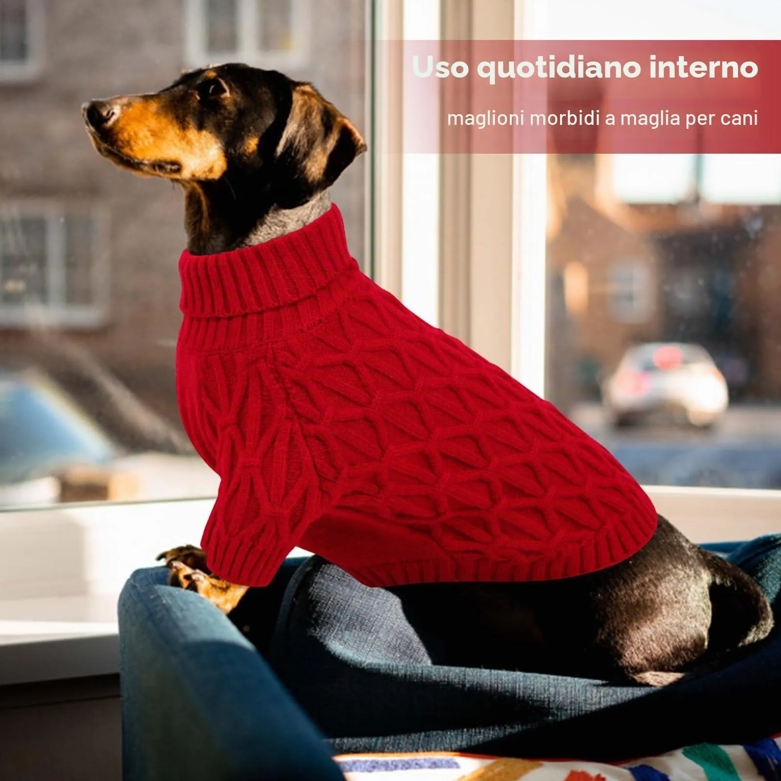 Queenmore Maglioni Natalizi per Cani, Morbida e Calda, Maglione Cane per Razze Medie come Cane Corso Jack Russell e Bassotto, Rosso, M - immagine 6