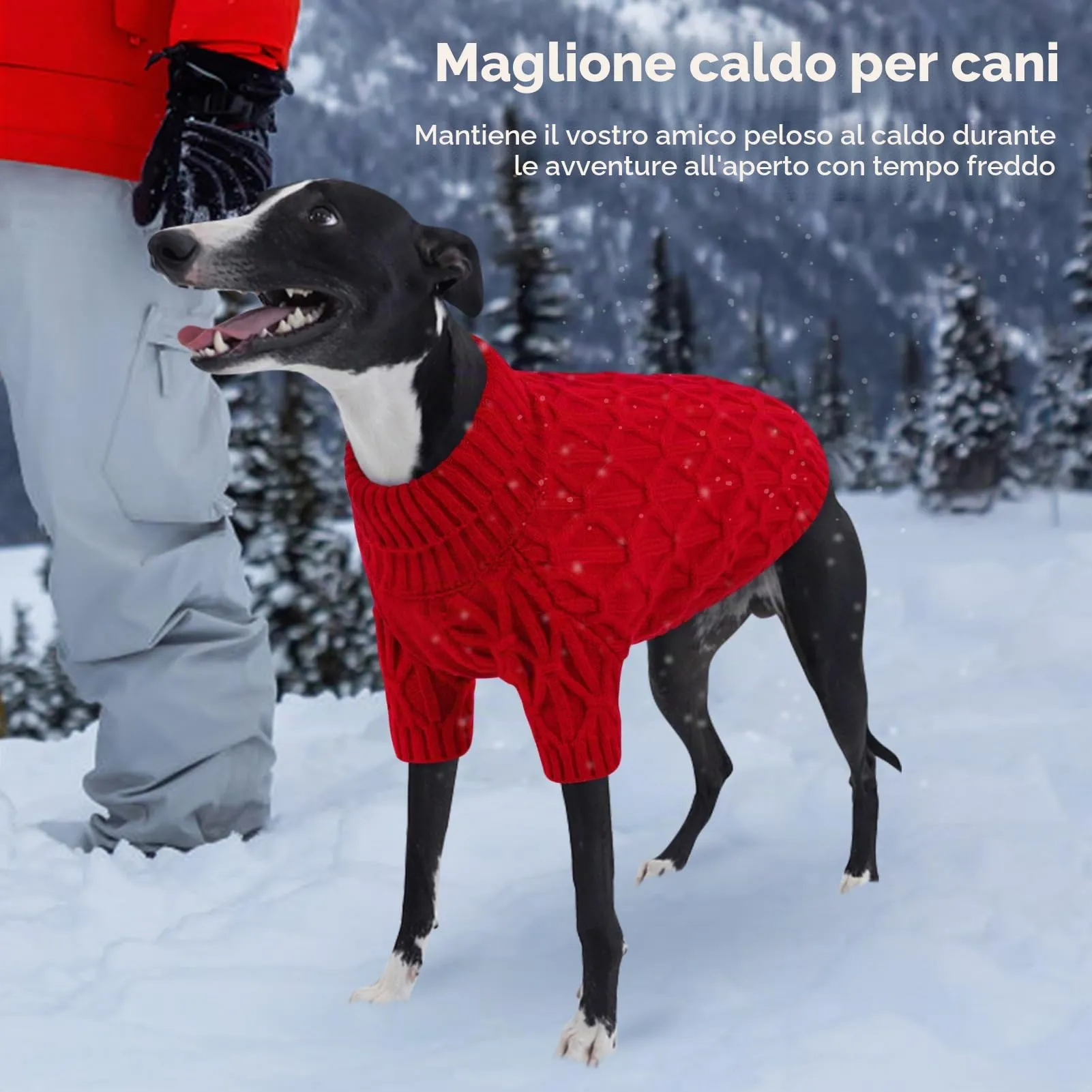 Queenmore Maglione per Cani di Taglia Grande, Maglioncino Cane con Collo Alto e Tessuto Caldo, Vestito Natale per Labrador, Golden Retriever e Border Collie, Rosso, XL - immagine 7