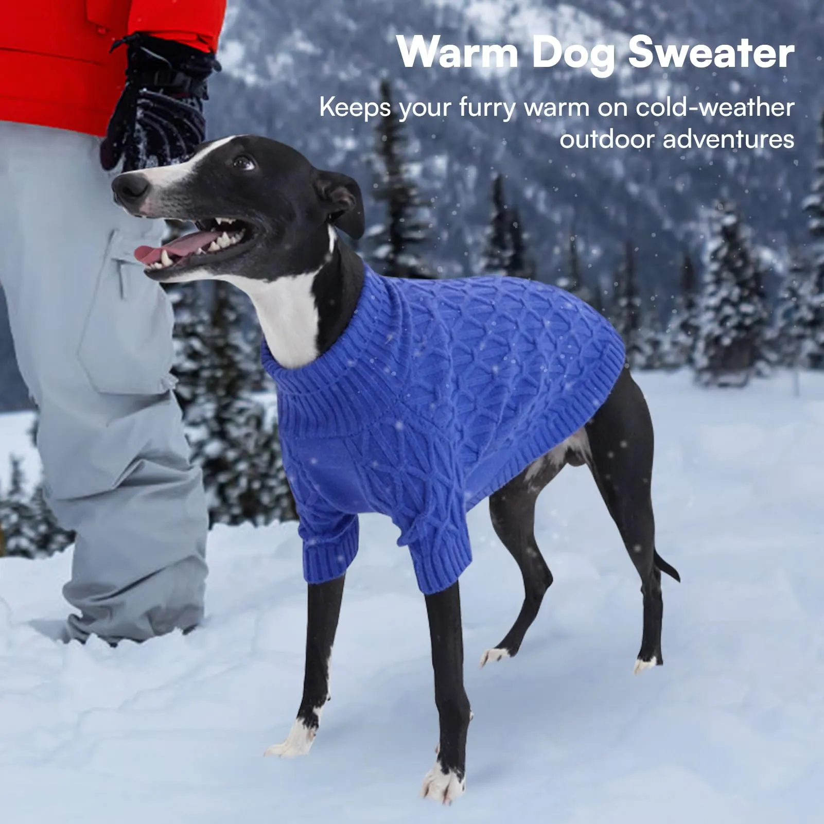 Queenmore Maglia per Cuccioli con Collo Alto, Maglioncino Cane Morbida e Calda, Felpa Cane per Inverno, per Cani e Gatti, Blu, XS - immagine 6