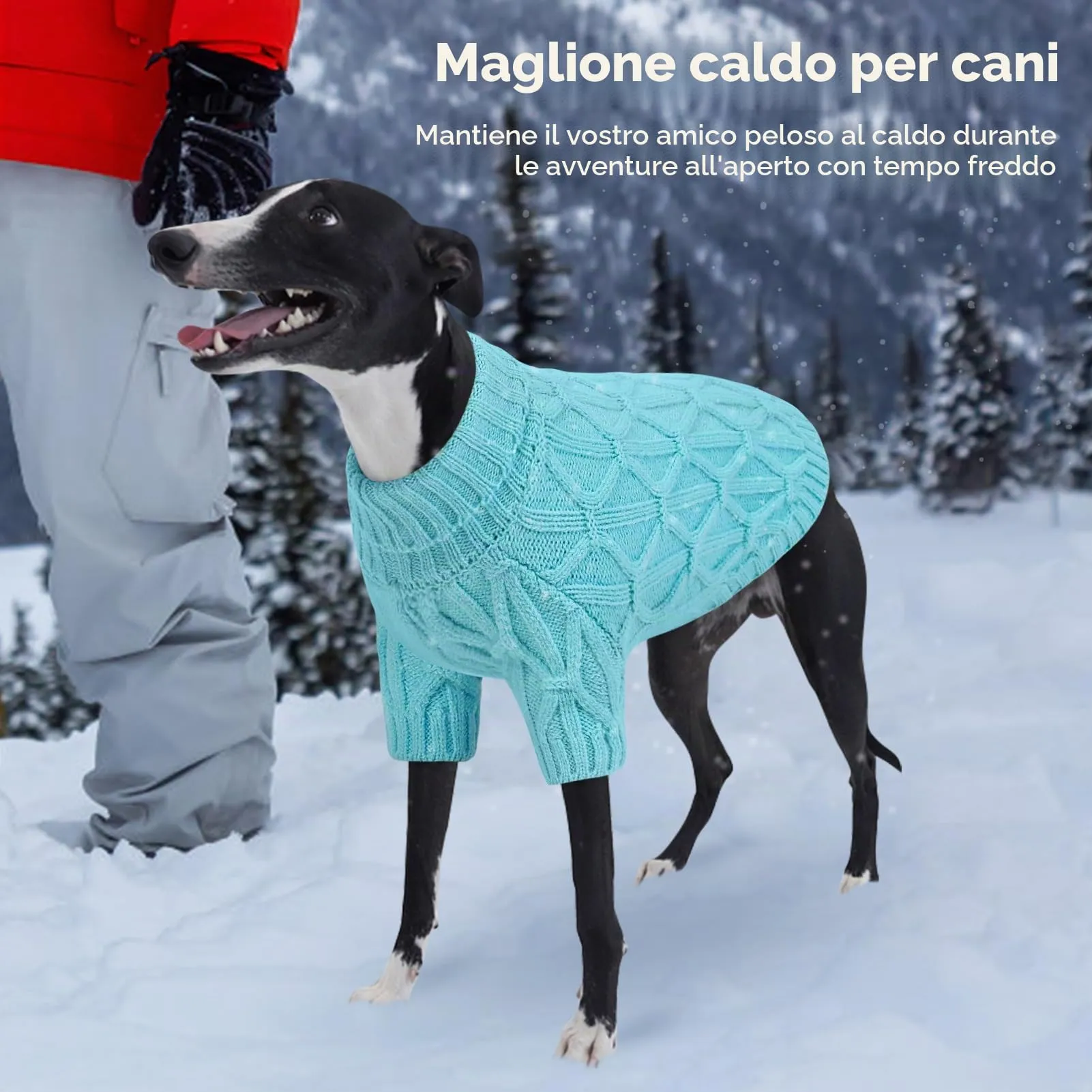 Queenmore Maglione per Whippet, Maglioncino Cane Morbida e Calda, Felpa Cane Grande per Labrador, Golden Retriever e Border Collie, Lago blu, XL - immagine 7