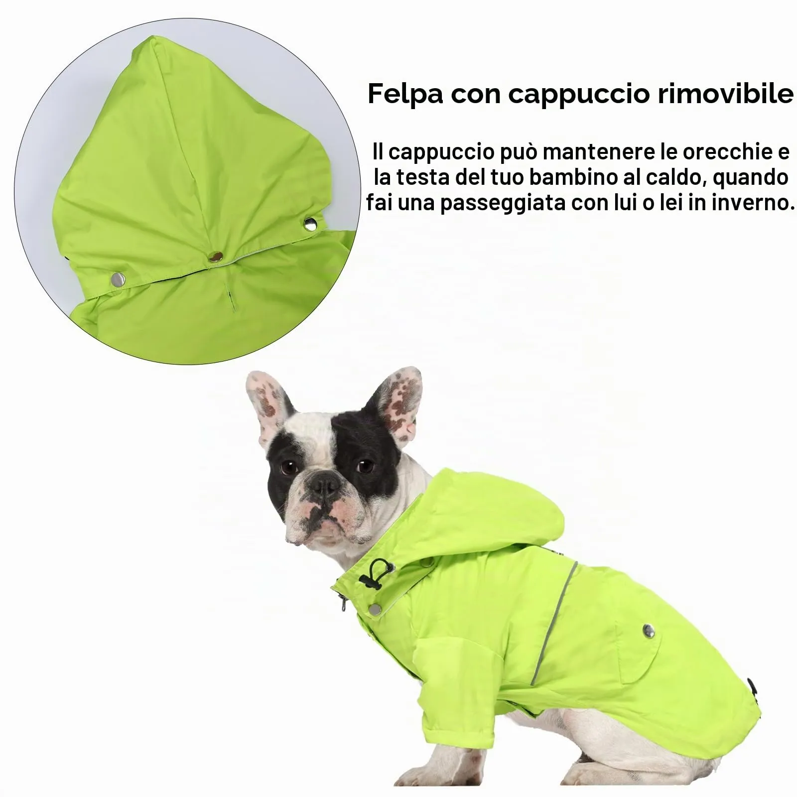 Impermeabile MOREZI per cani, antipioggia, impermeabile, traspirante, con cerniera, coulisse regolabile, cappuccio staccabile, adatto a cani di piccola e media taglia-Verde-S - immagine 5