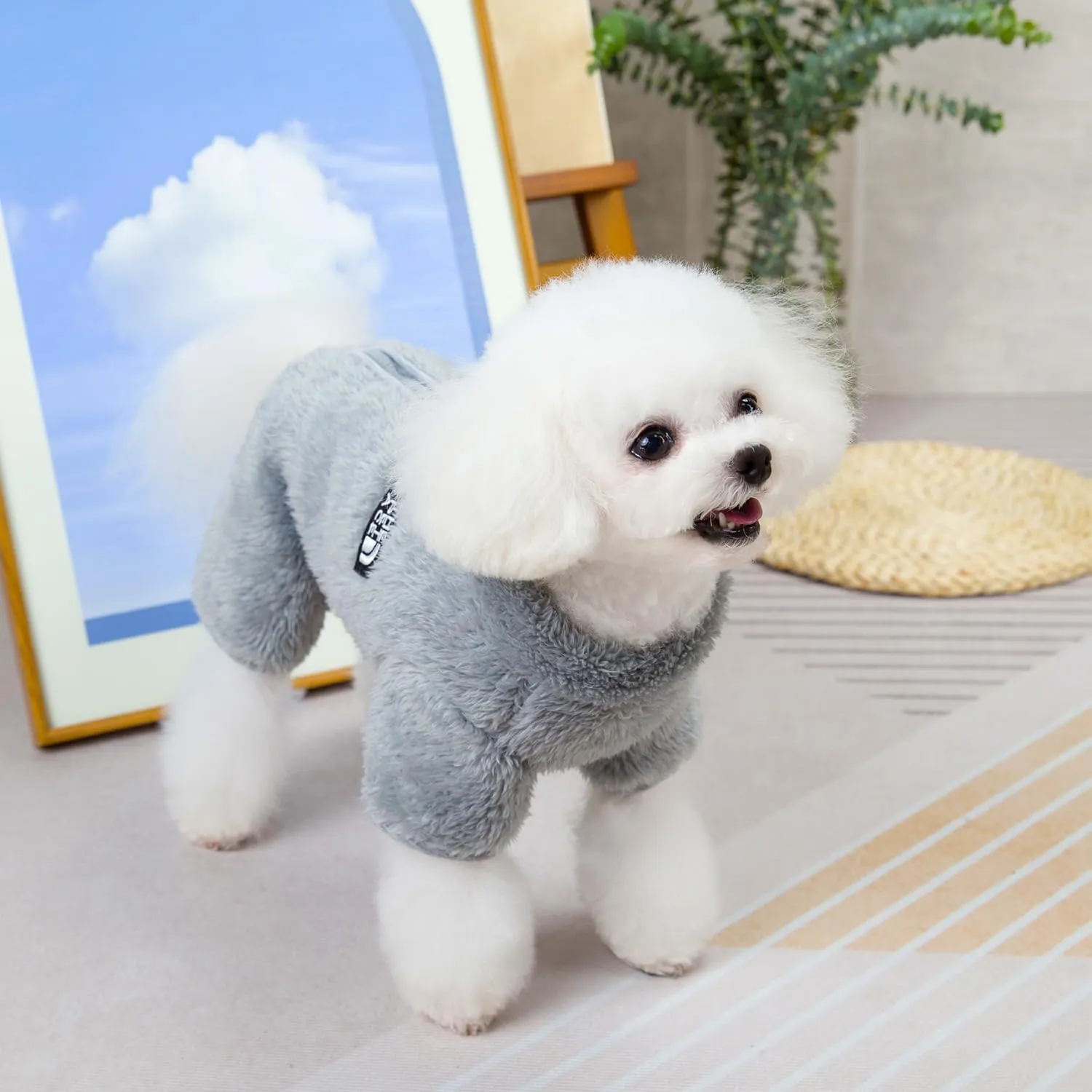 Izefia Cane Maglione Vestiti Abbigliamento Pile Maglioni di Lana Tutina Inverno Caldo Felpa Camicia 4 Gambe Tuta Pigiama Alla Moda Pet Face Modello Maglione per Cani di Piccola Taglia Gatto Medio - immagine 3
