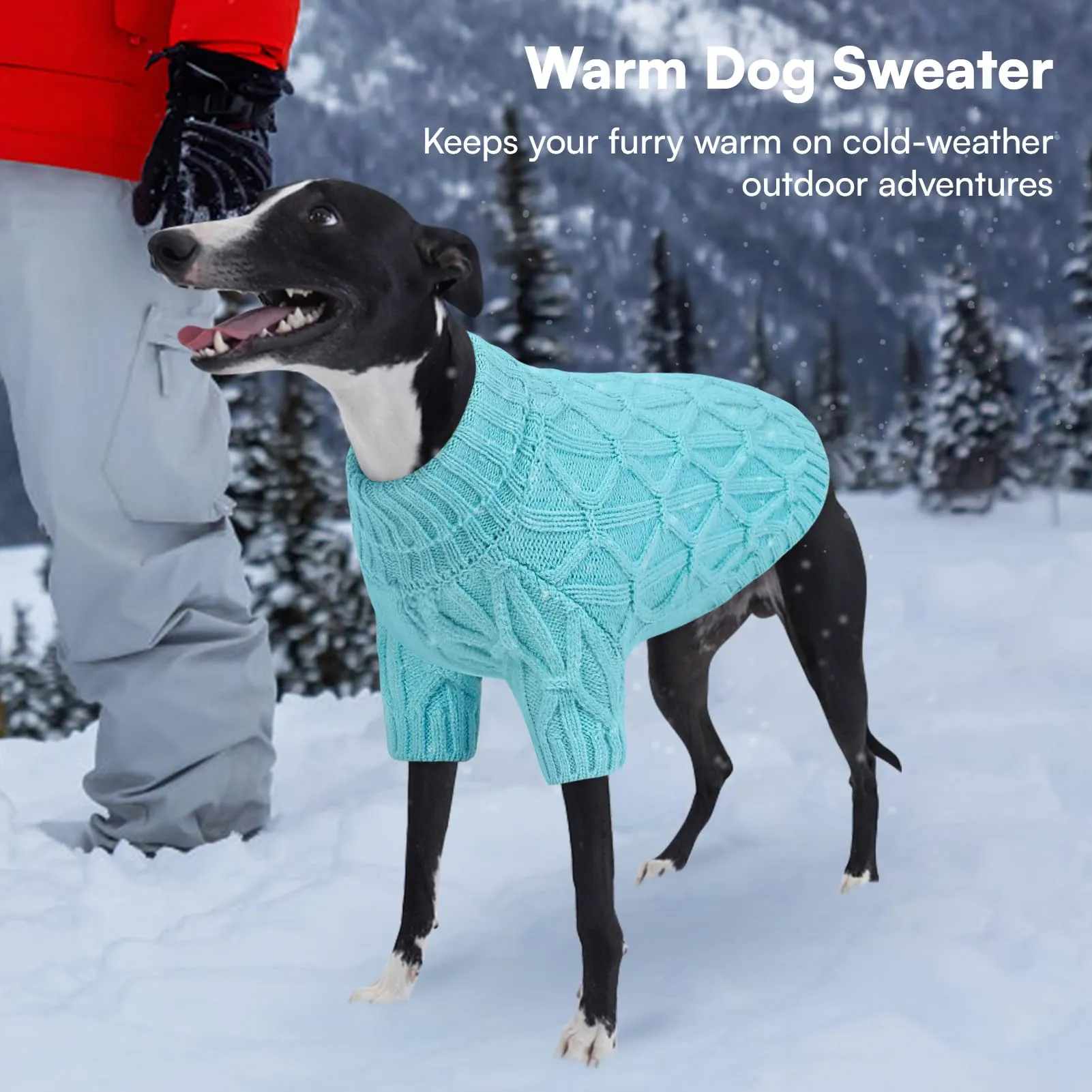 Queenmore Maglione per Whippet, Maglioncino Cane Morbida e Calda, Felpa Cane Grande per Labrador, Golden Retriever e Border Collie, Lago blu, 2XL - immagine 6