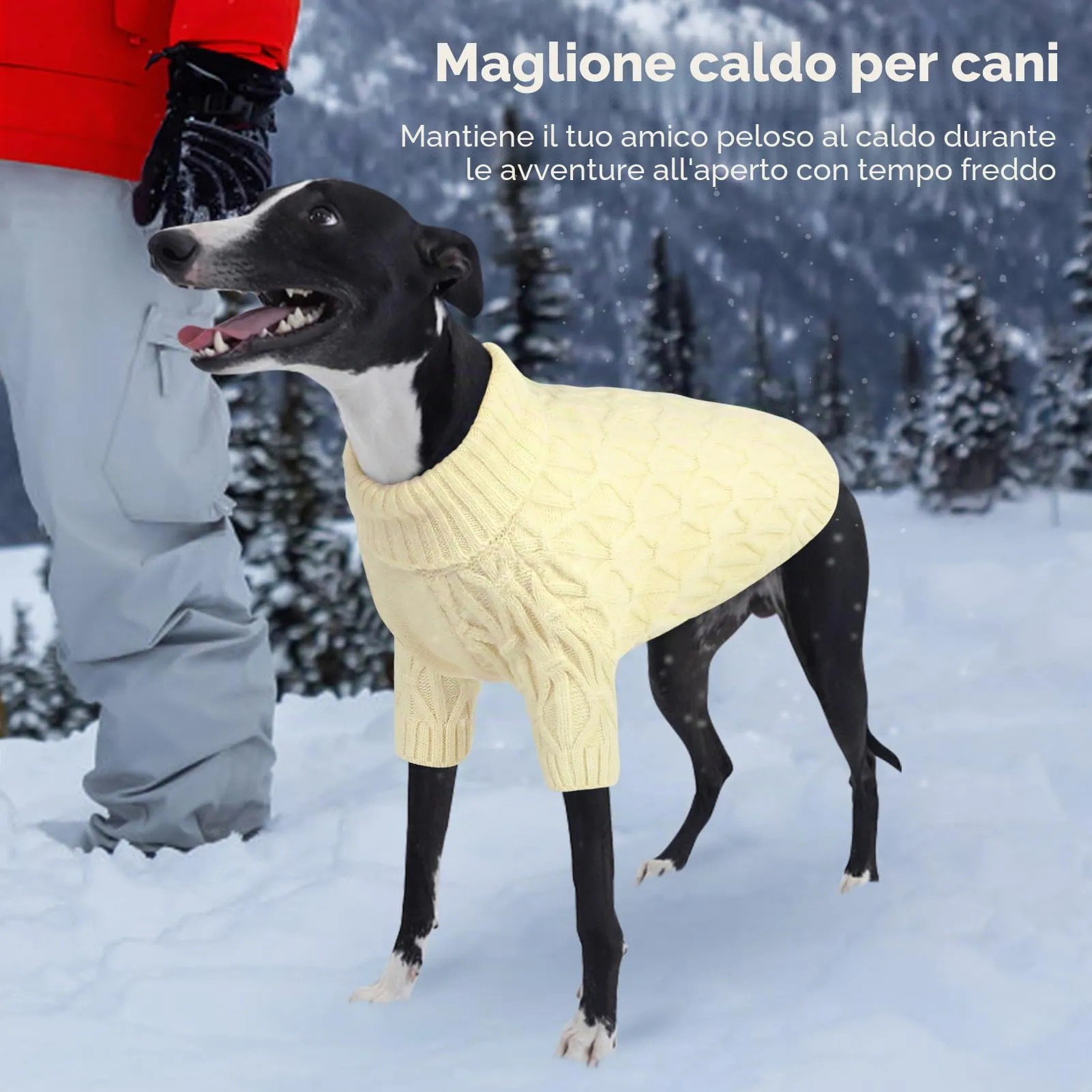 Queenmore Maglione per cani taglia media, Maglioni per cani a maglia per - immagine 7