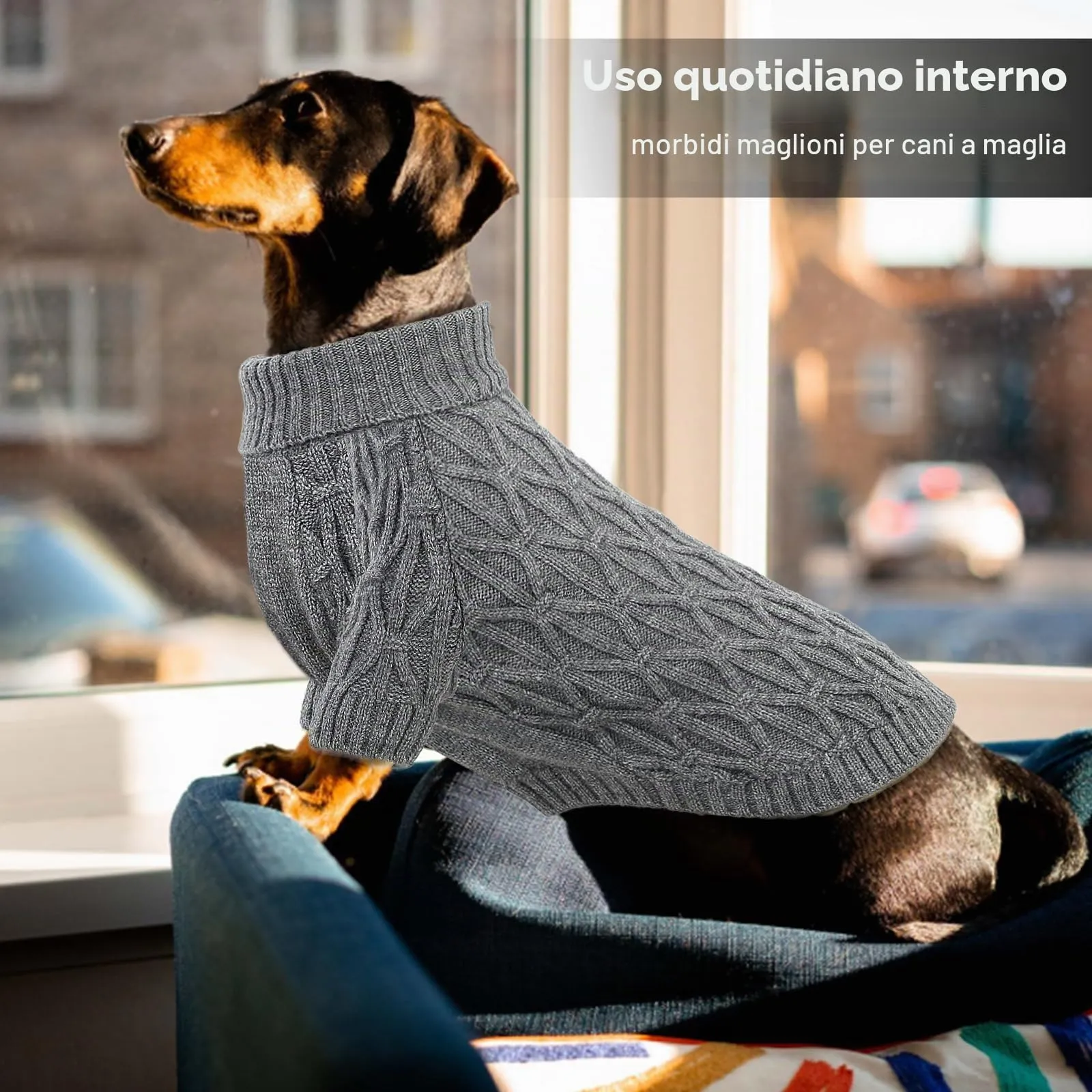 Queenmore Maglioncino Cane Taglia Piccola, Morbida e Elasticizzata, per Gattini e Cani di Taglia Mini (Maltese,Yorkshire Terrier, Barboncino Toy), Grigio, XS - immagine 4