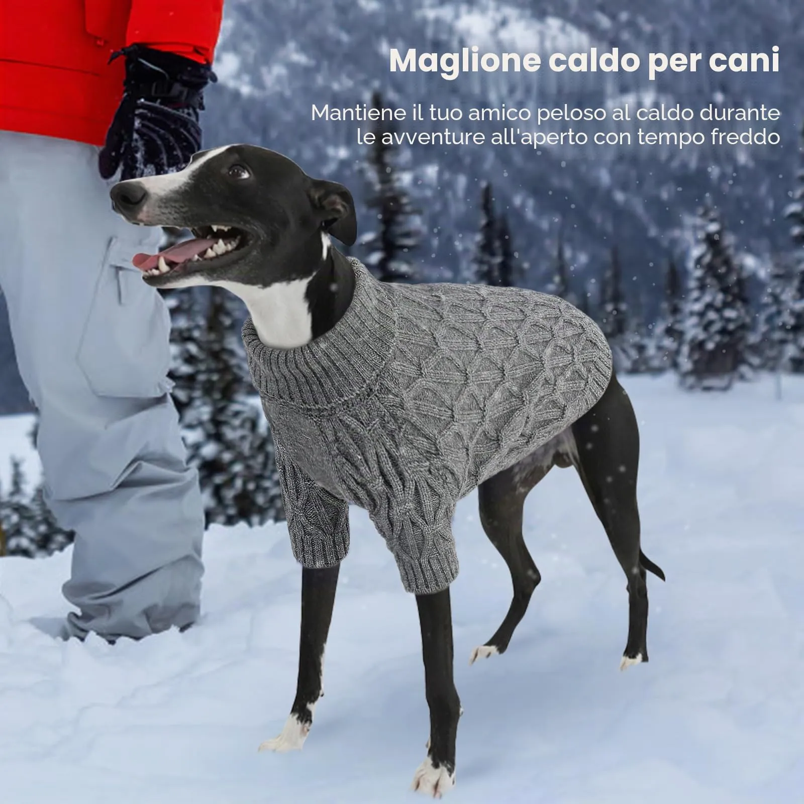 Queenmore Maglione Natalizio per Cani, Morbido e Elasticizzato, Maglioncino Cane per Maltese, Lagotto Romagnolo, Pomeranian e Barboncino, Grigio, S - immagine 7
