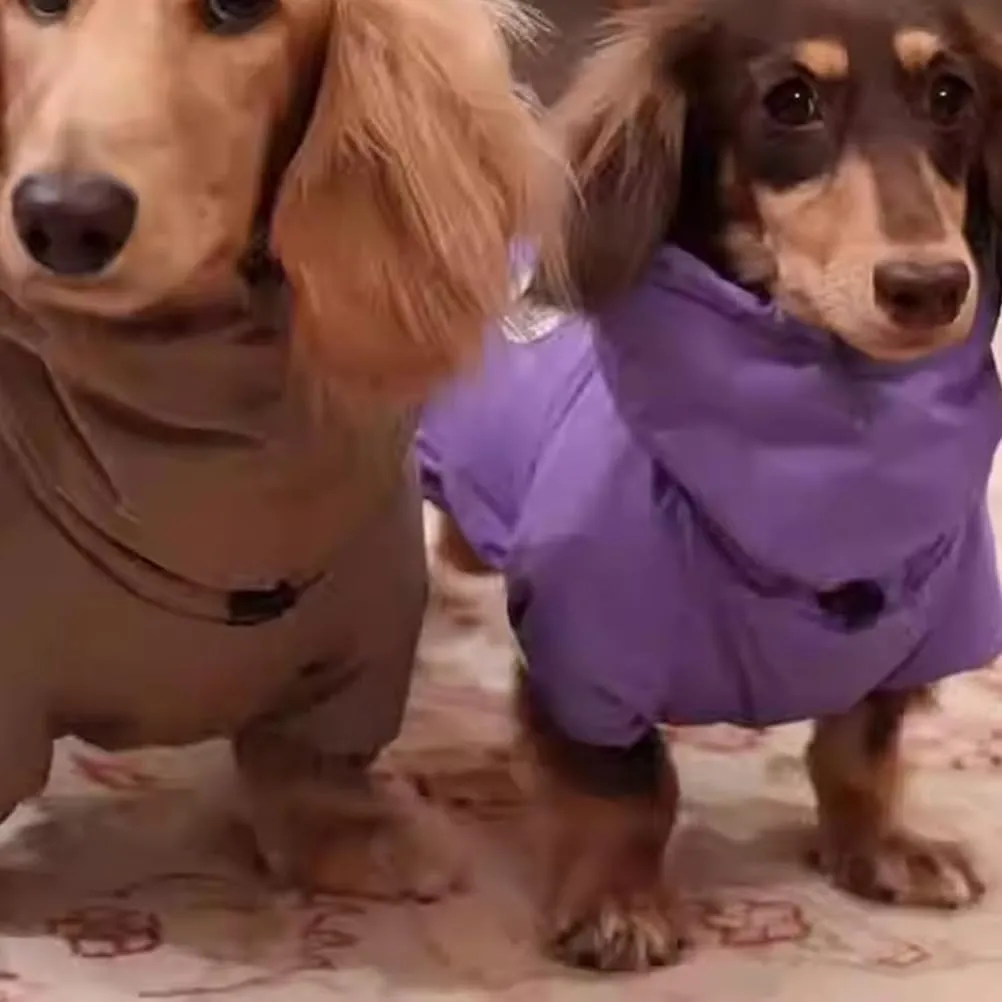 YPDOPORA Cappotto Invernale per Bassotti, Cappotto Caldo per Cani per Il Freddo, Giacca Calda Antivento A 4 Zampe per Cani con Cerniera, Giacca Morbida A Collo Alto per Cani di Piccola Taglia,Viola,L - immagine 7